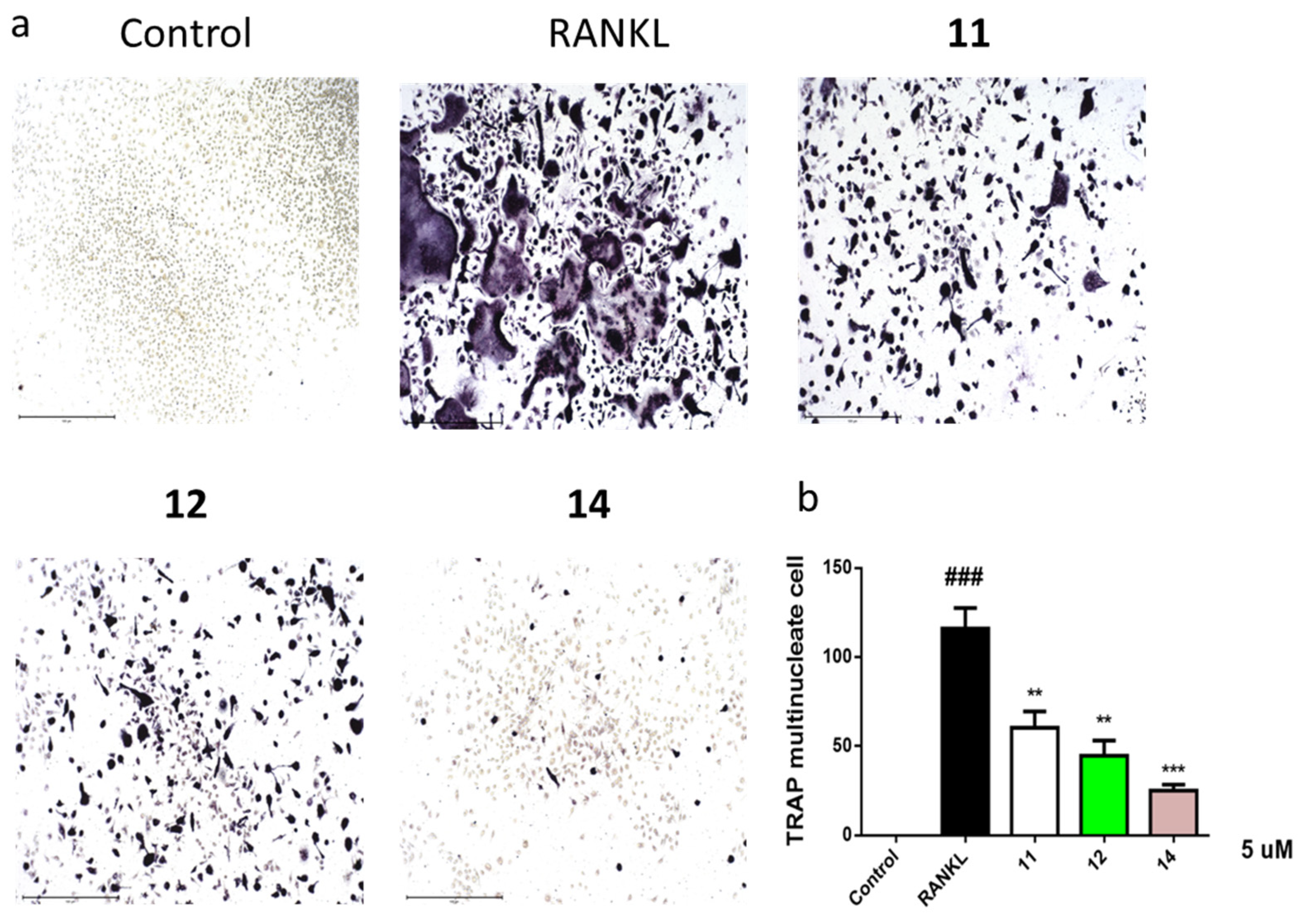Molecules 26 04851 g005