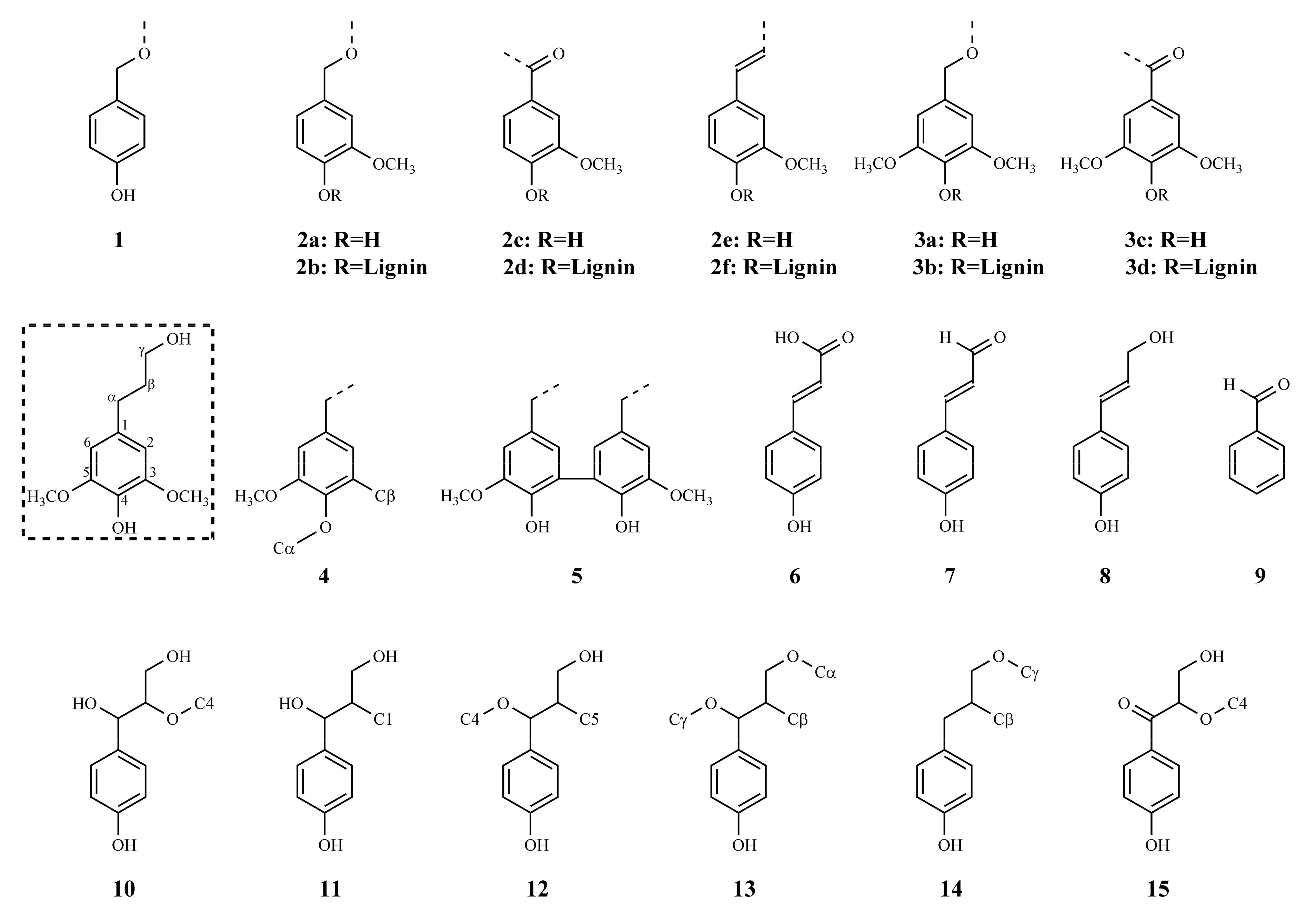 Molecules 26 04861 g006 550