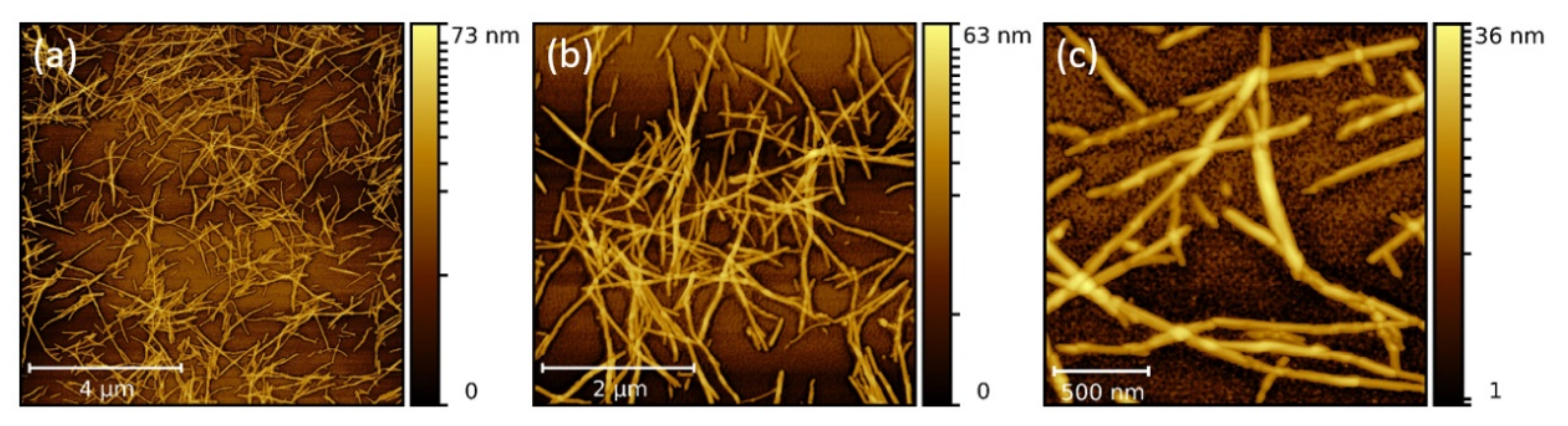 Molecules 26 04864 g001 Molecules 26 04864 g001