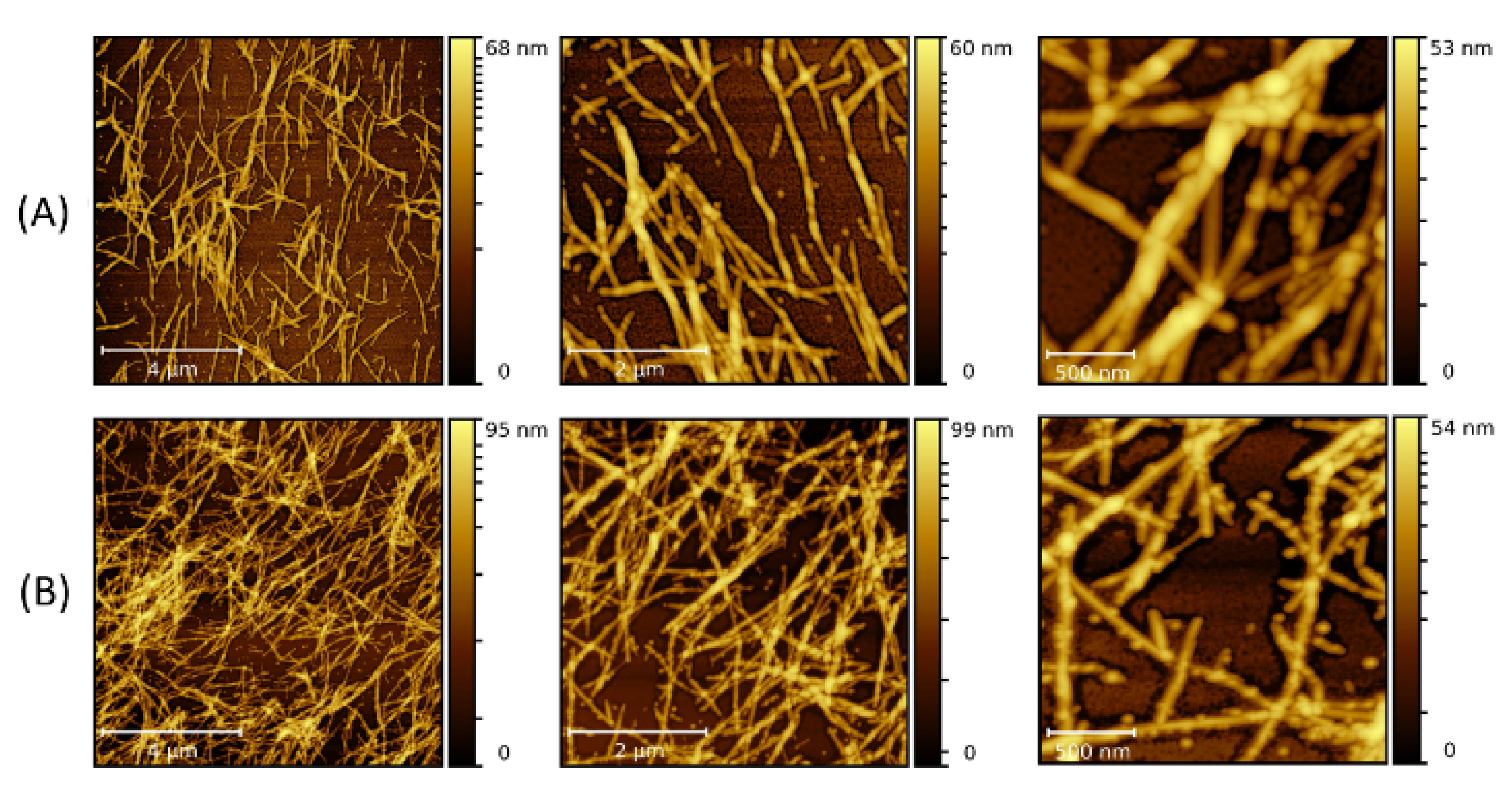 Molecules 26 04864 g002 Molecules 26 04864 g002