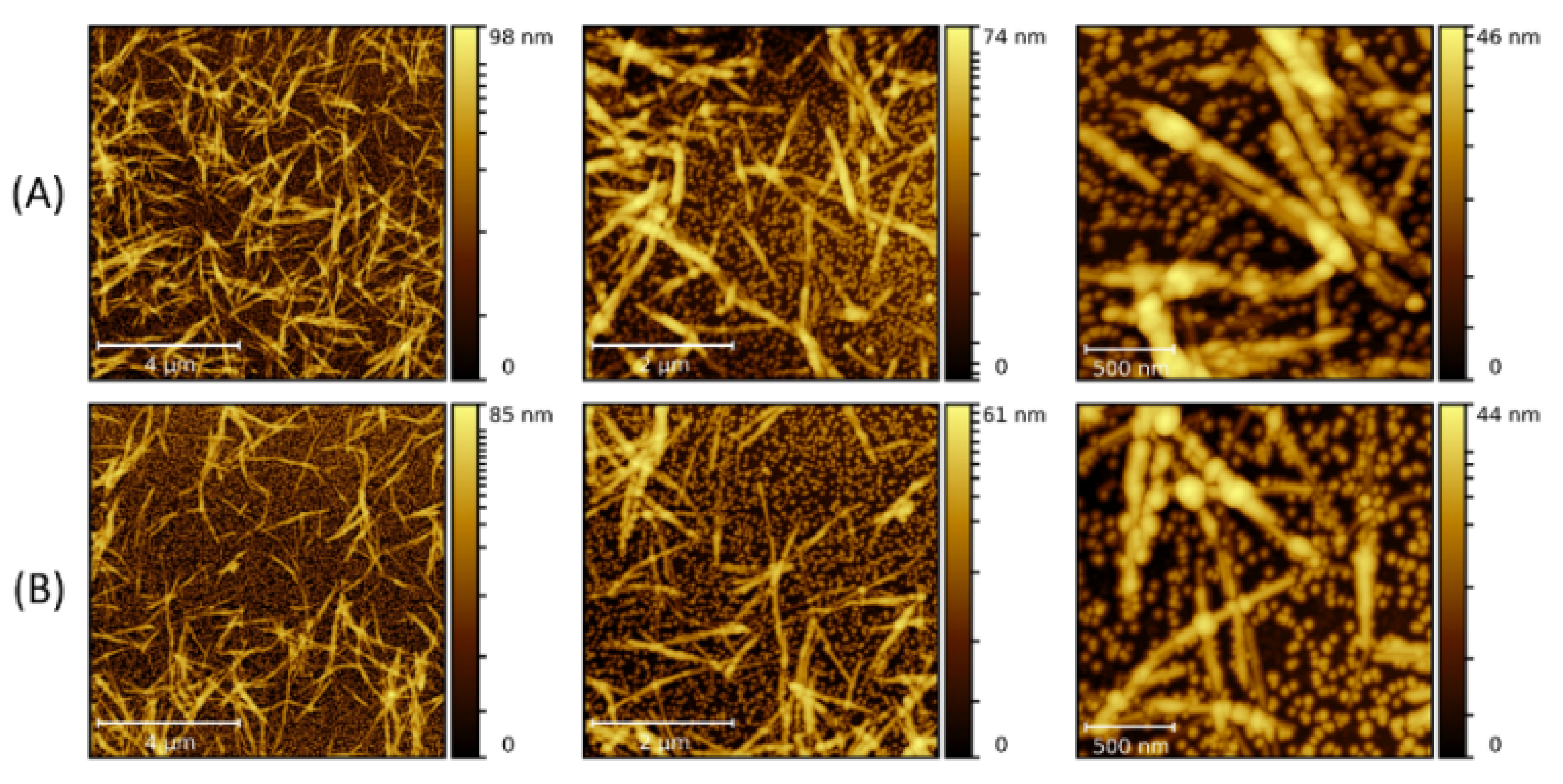 Molecules 26 04864 g003 Molecules 26 04864 g003
