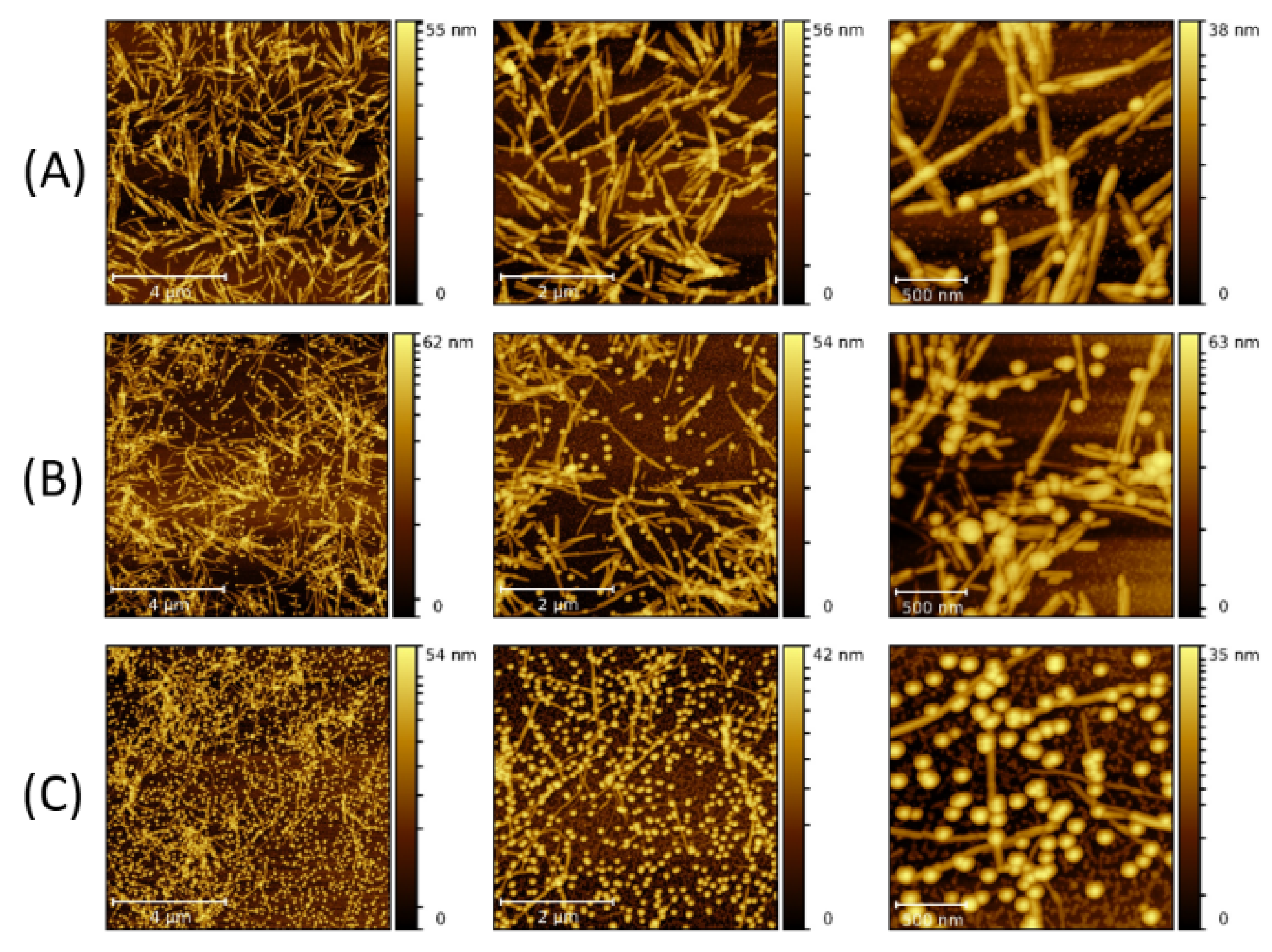 Molecules 26 04864 g005 Molecules 26 04864 g005