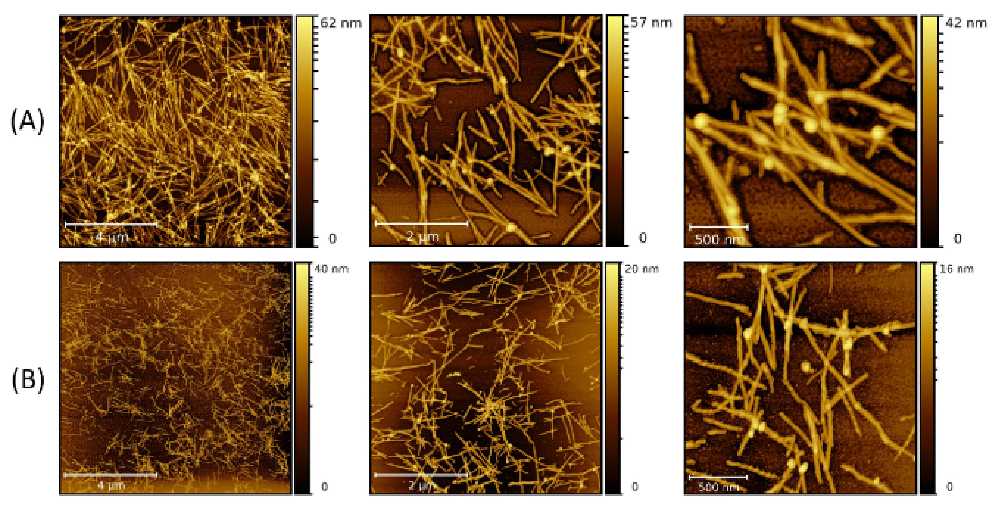 Molecules 26 04864 g006 Molecules 26 04864 g006