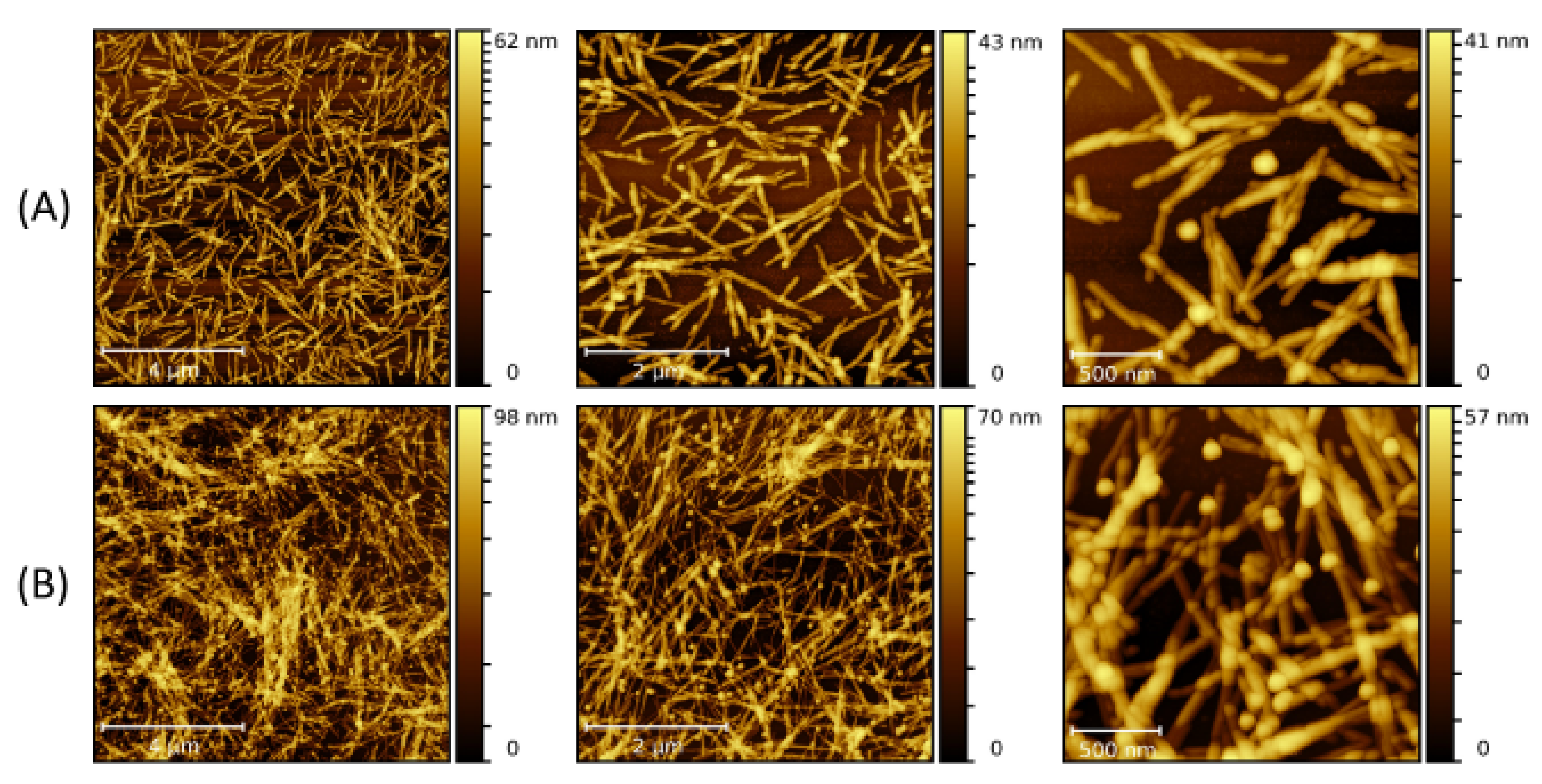 Molecules 26 04864 g007 Molecules 26 04864 g007
