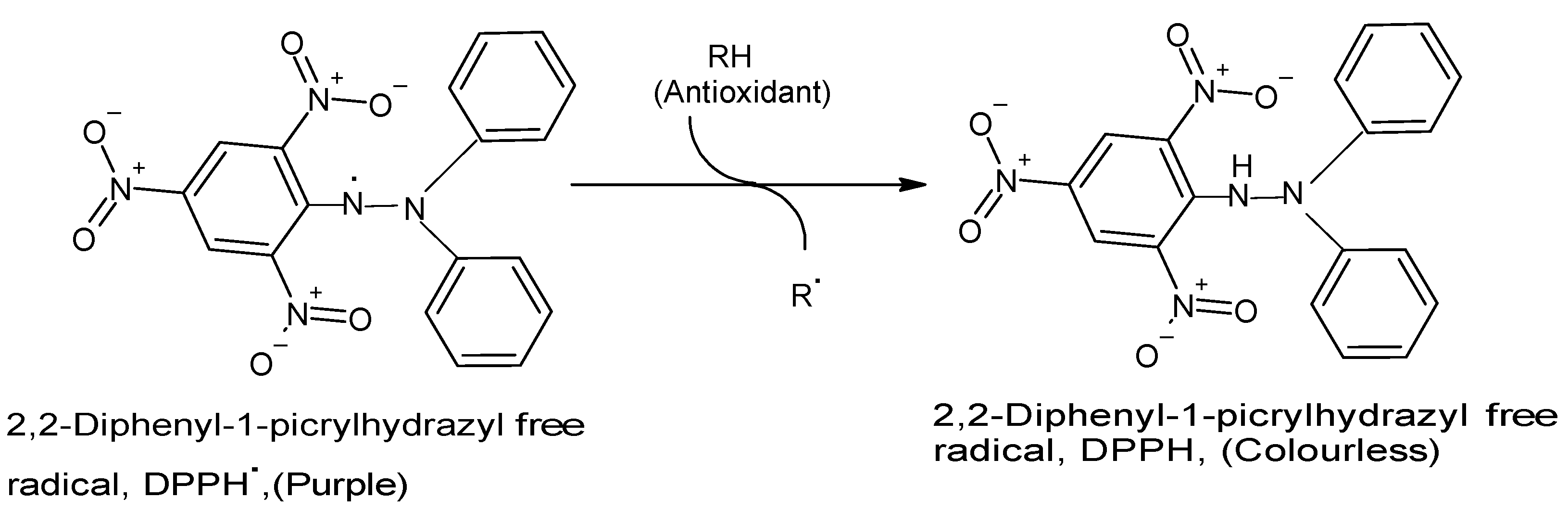 Molecules Free FullText A Concise Review of Current In Vitro