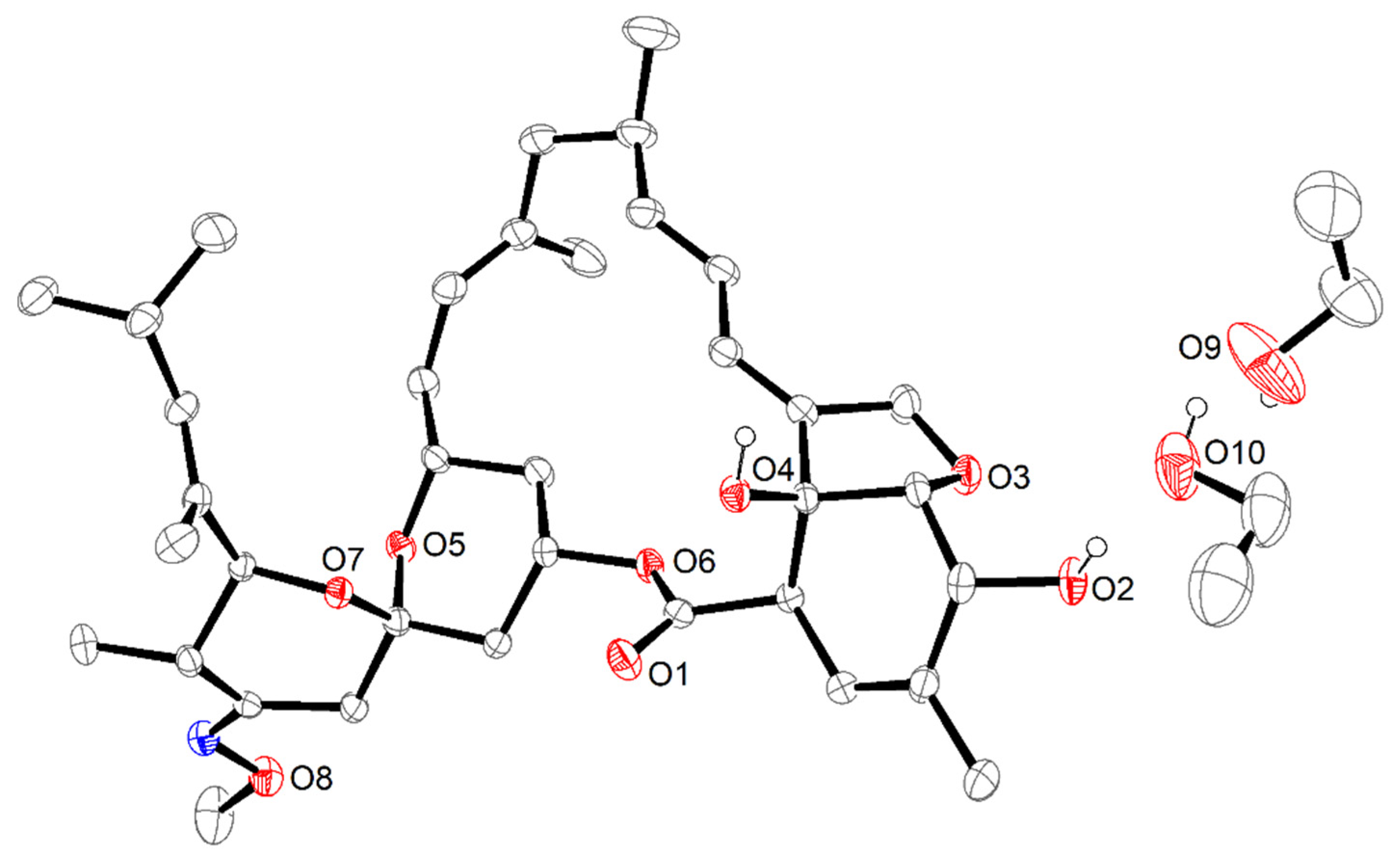 Molecules 26 04869 g002