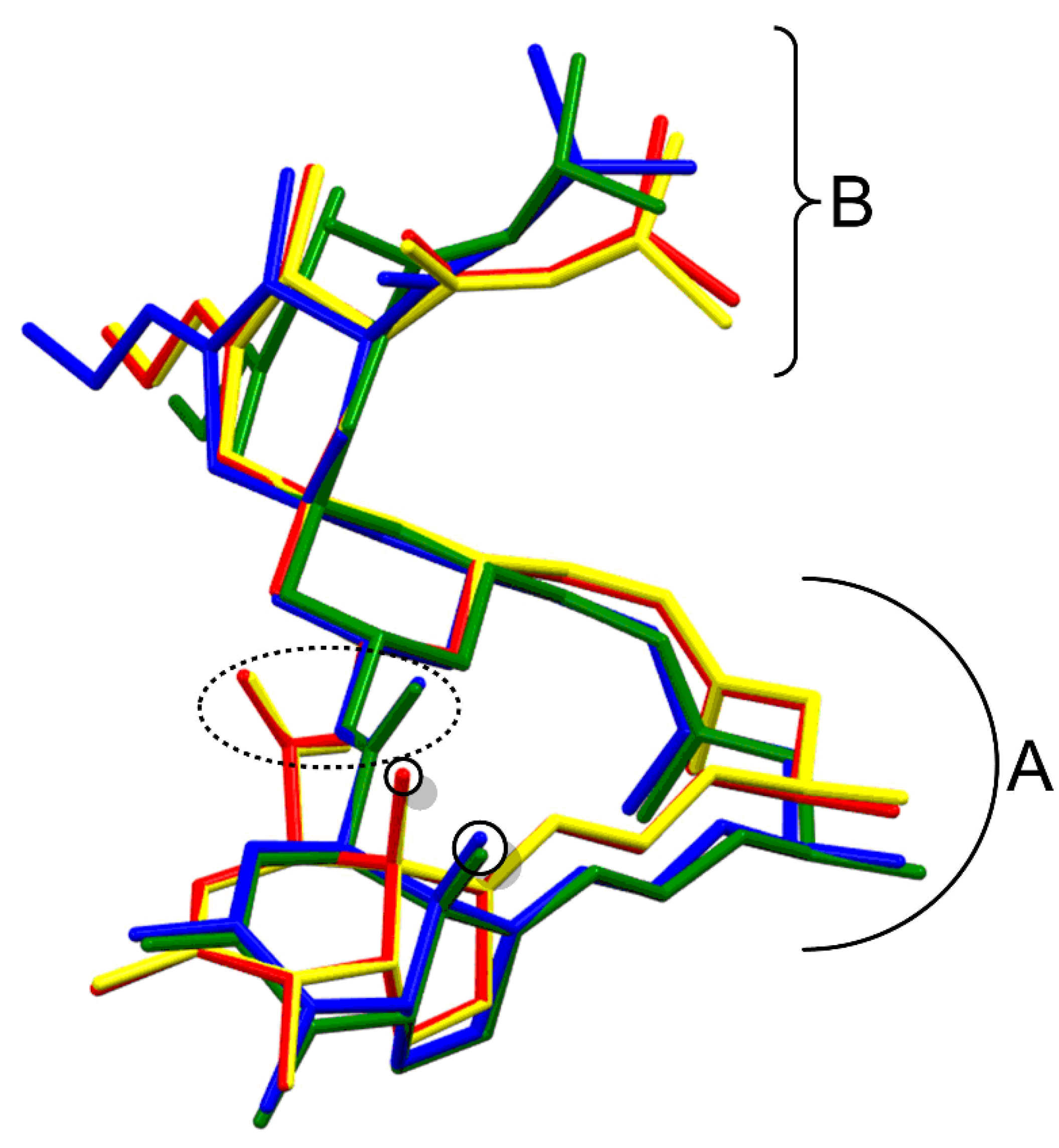 Molecules 26 04869 g007