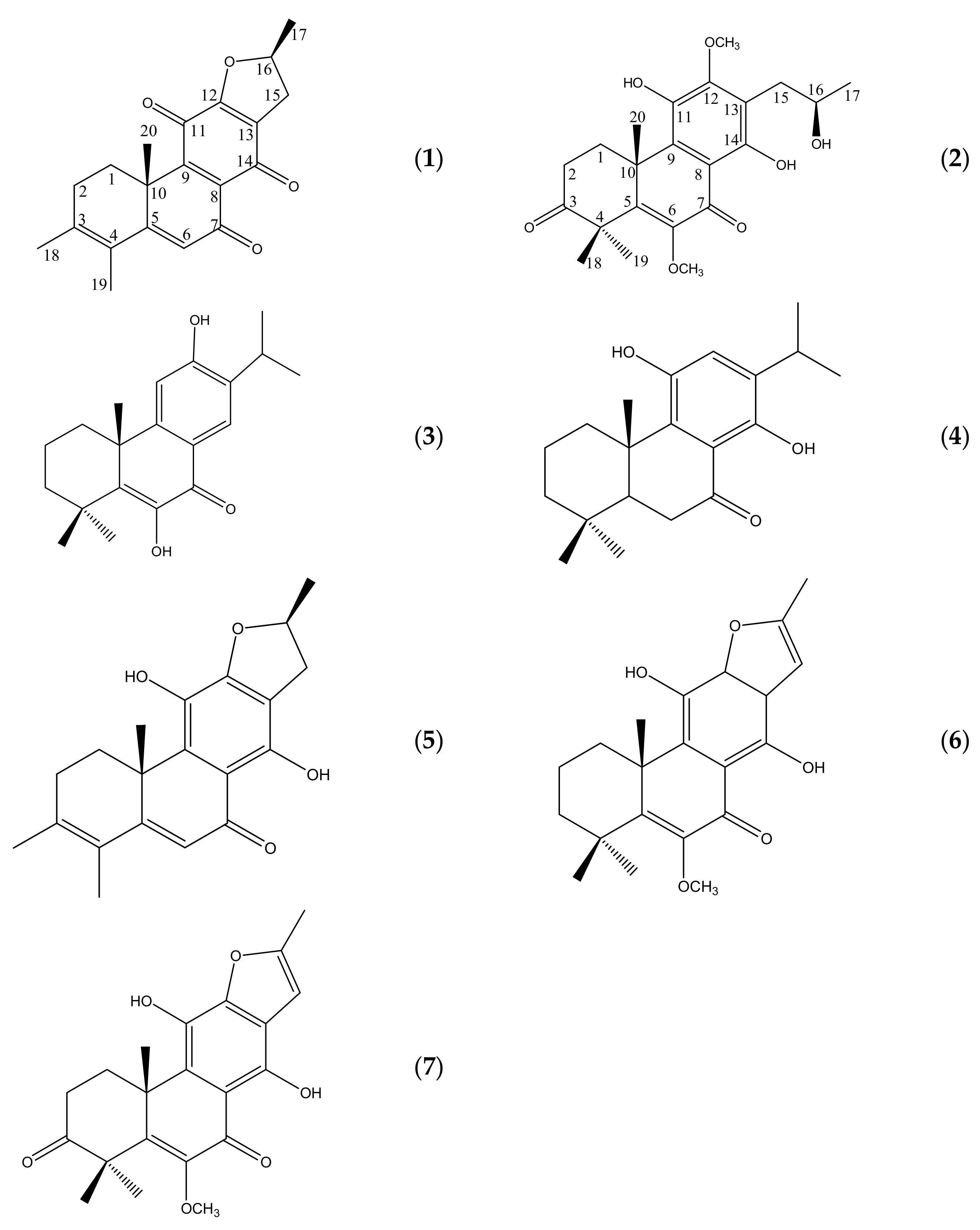 Molecules 26 04870 g001 550