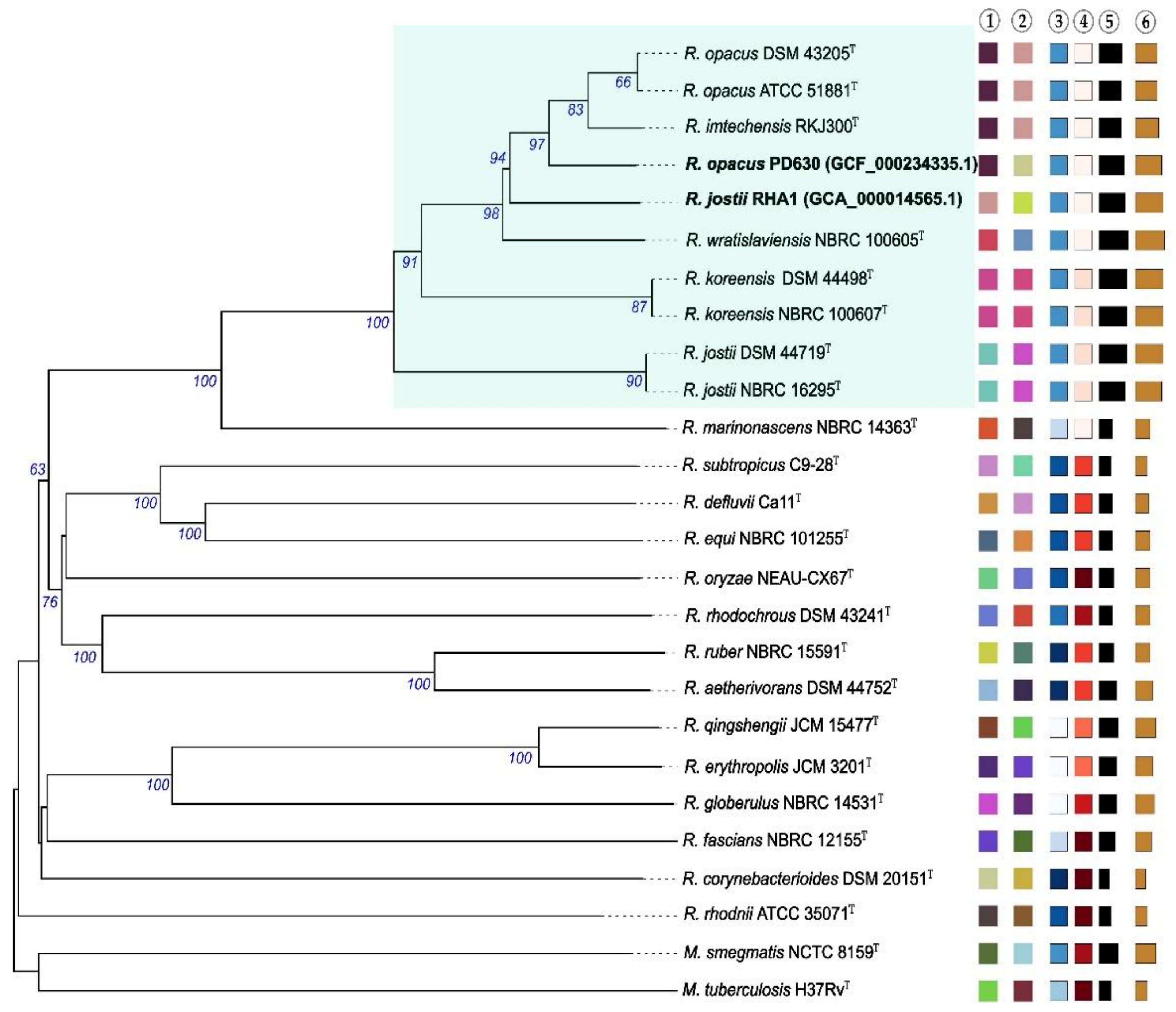 Molecules 26 04871 g001 Molecules 26 04871 g001
