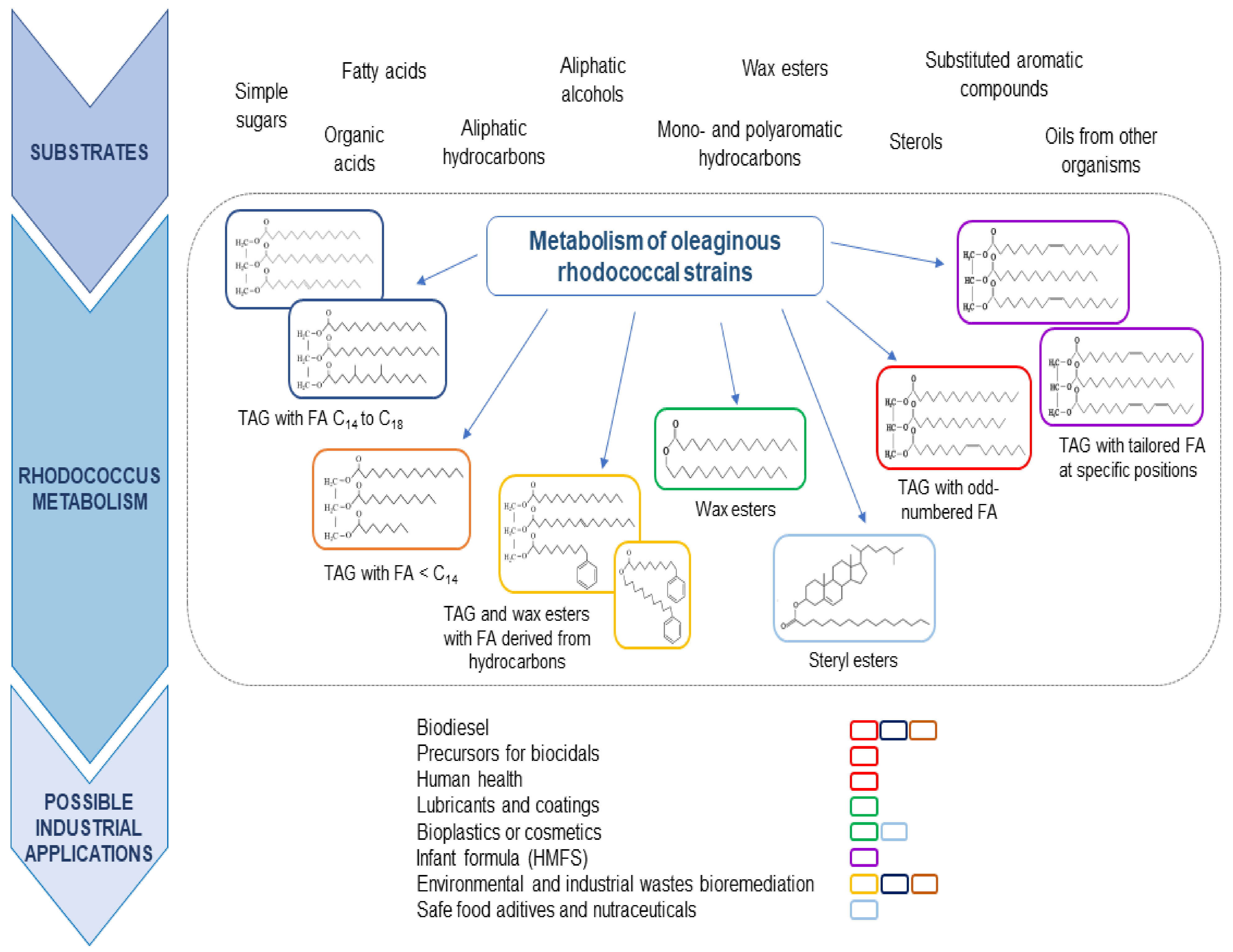 Molecules 26 04871 g002 Molecules 26 04871 g002