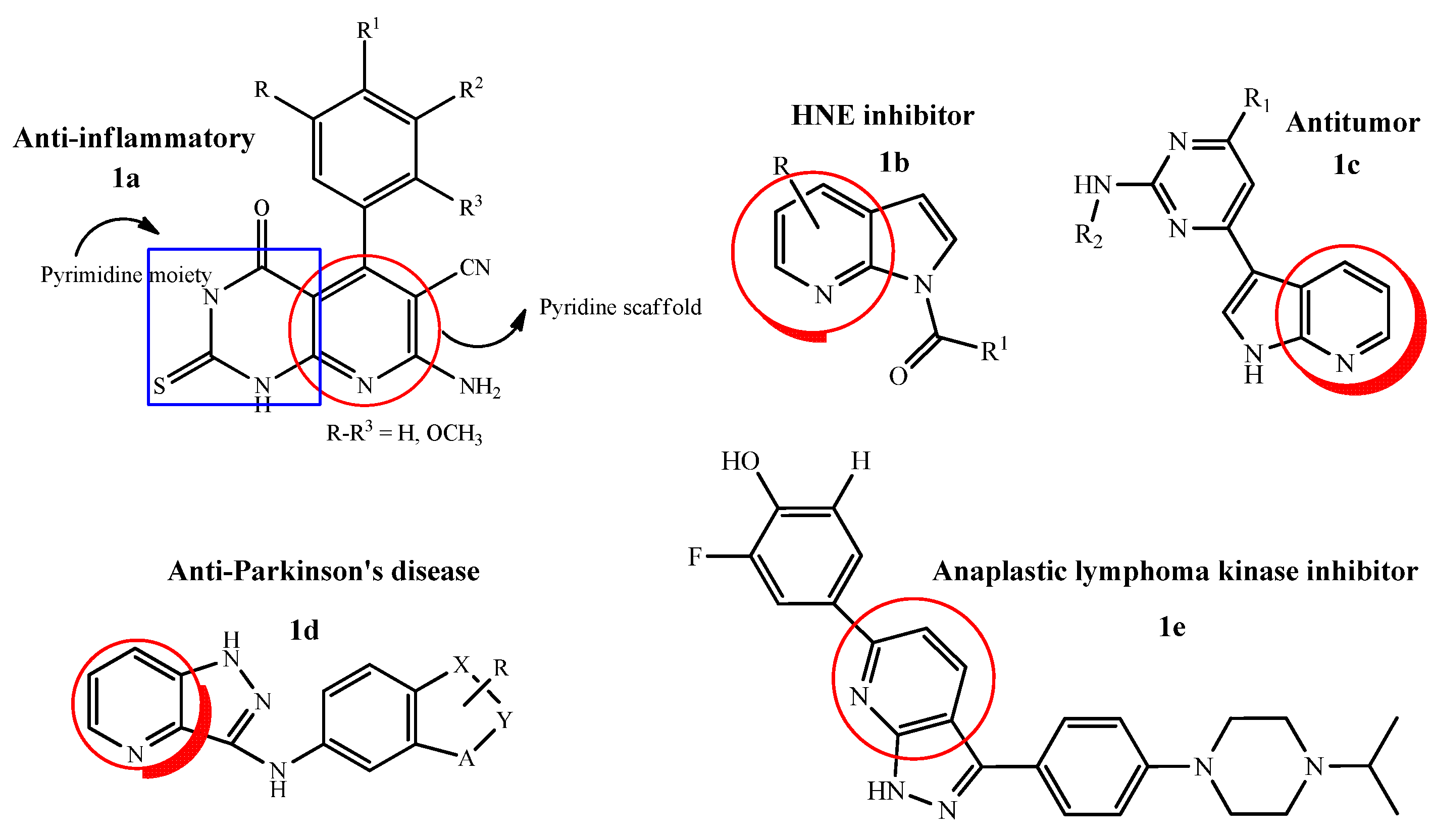 Molecules 26 04872 g001