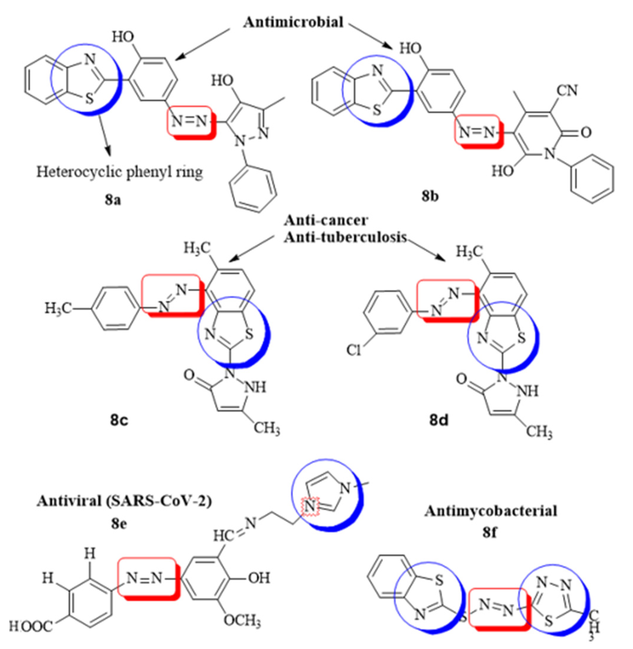 Molecules 26 04872 g008