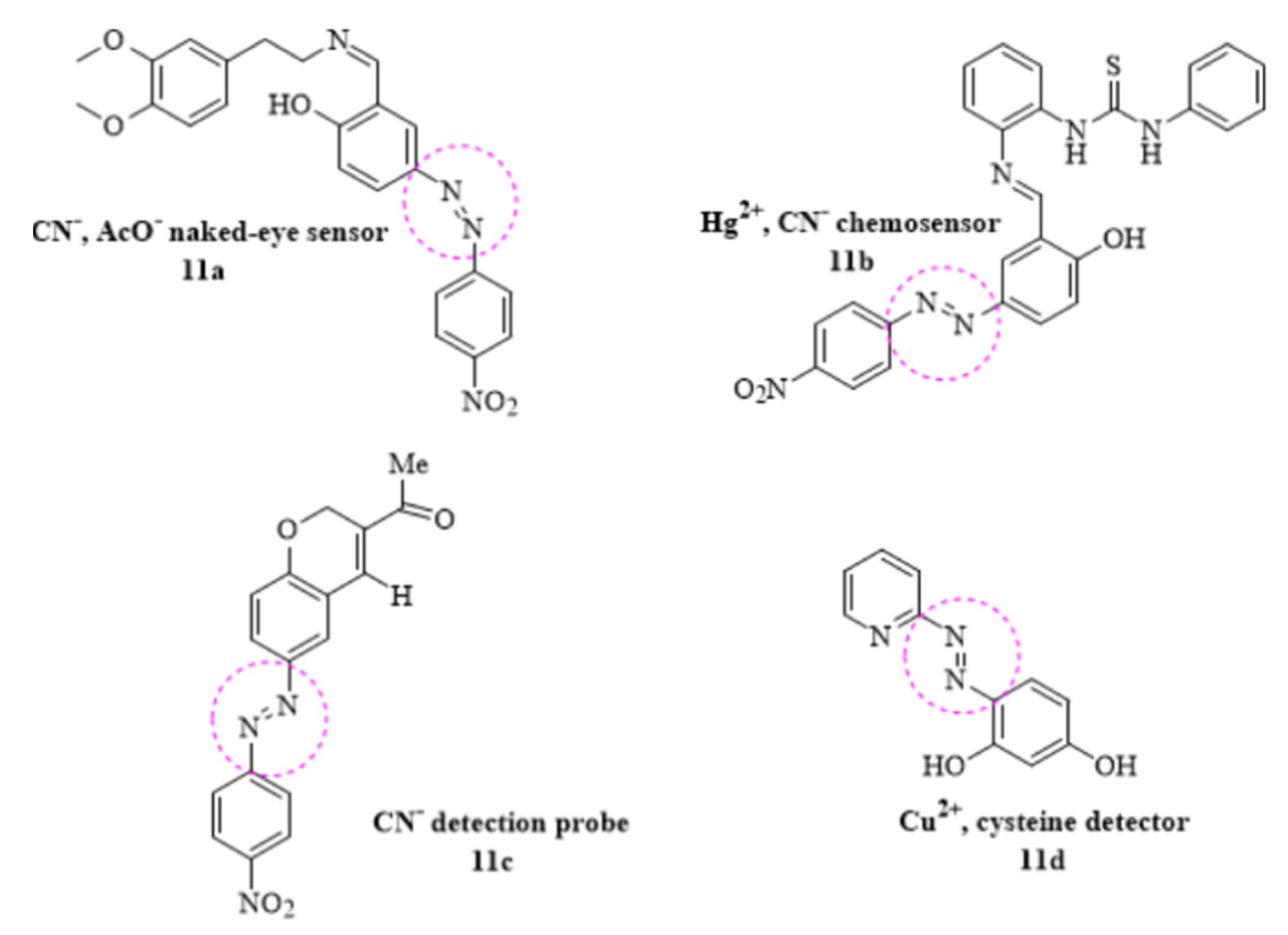Molecules 26 04872 g011