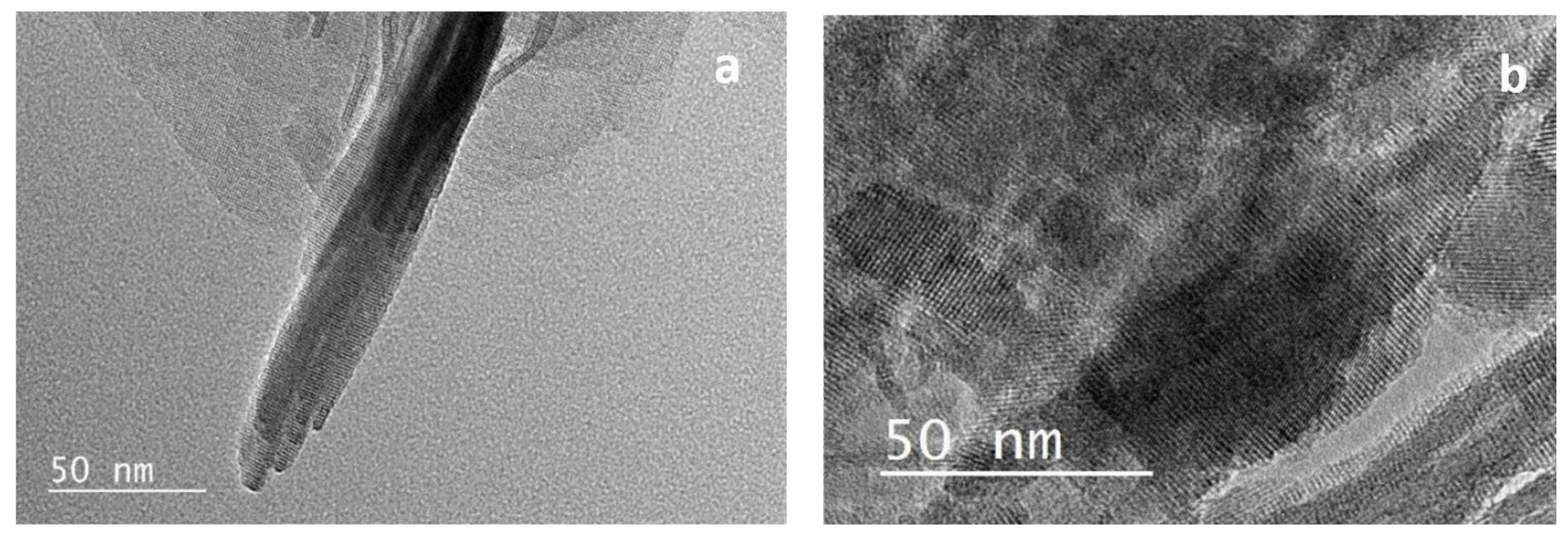 Molecules 26 04879 g003