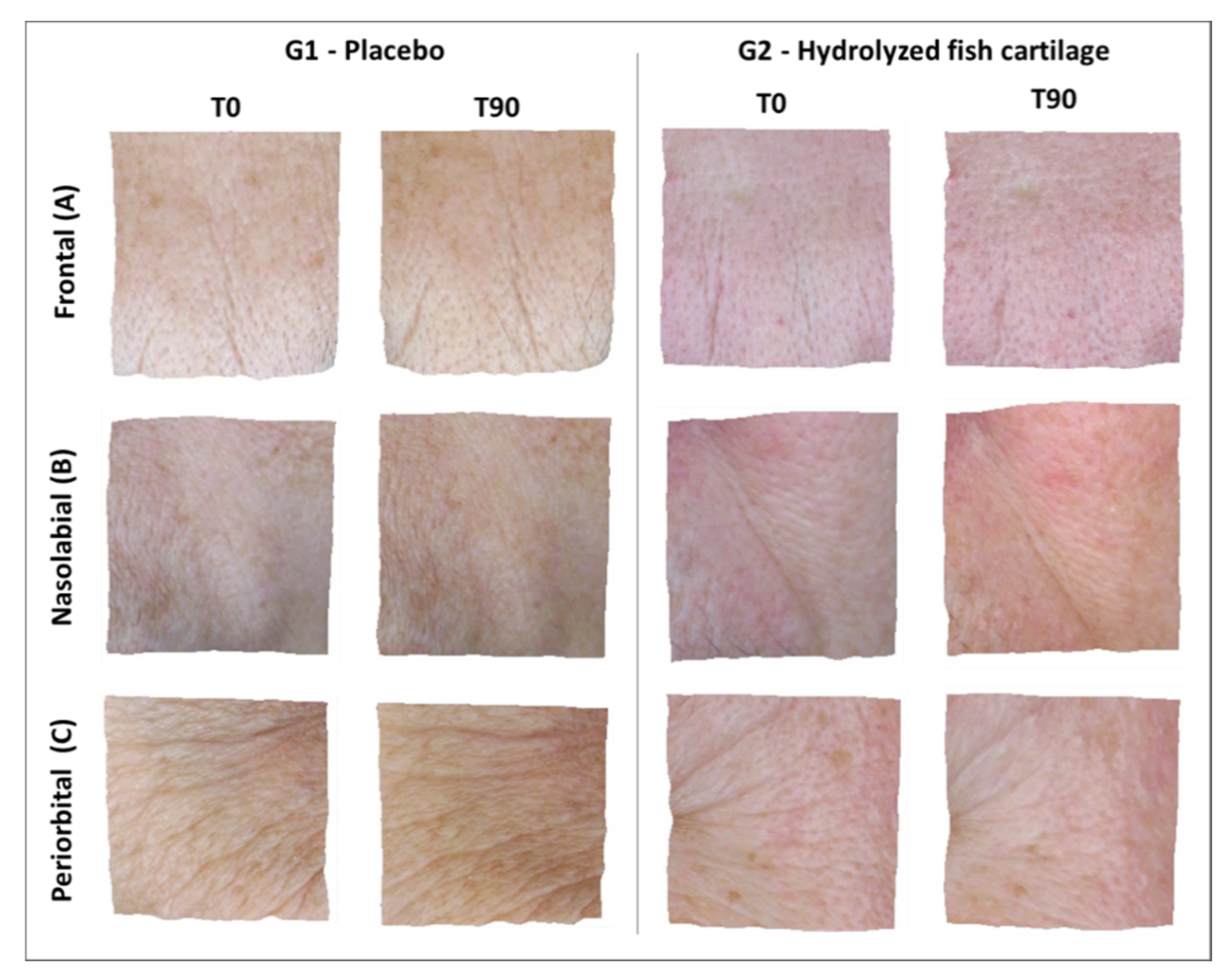 Molecules 26 04880 g003