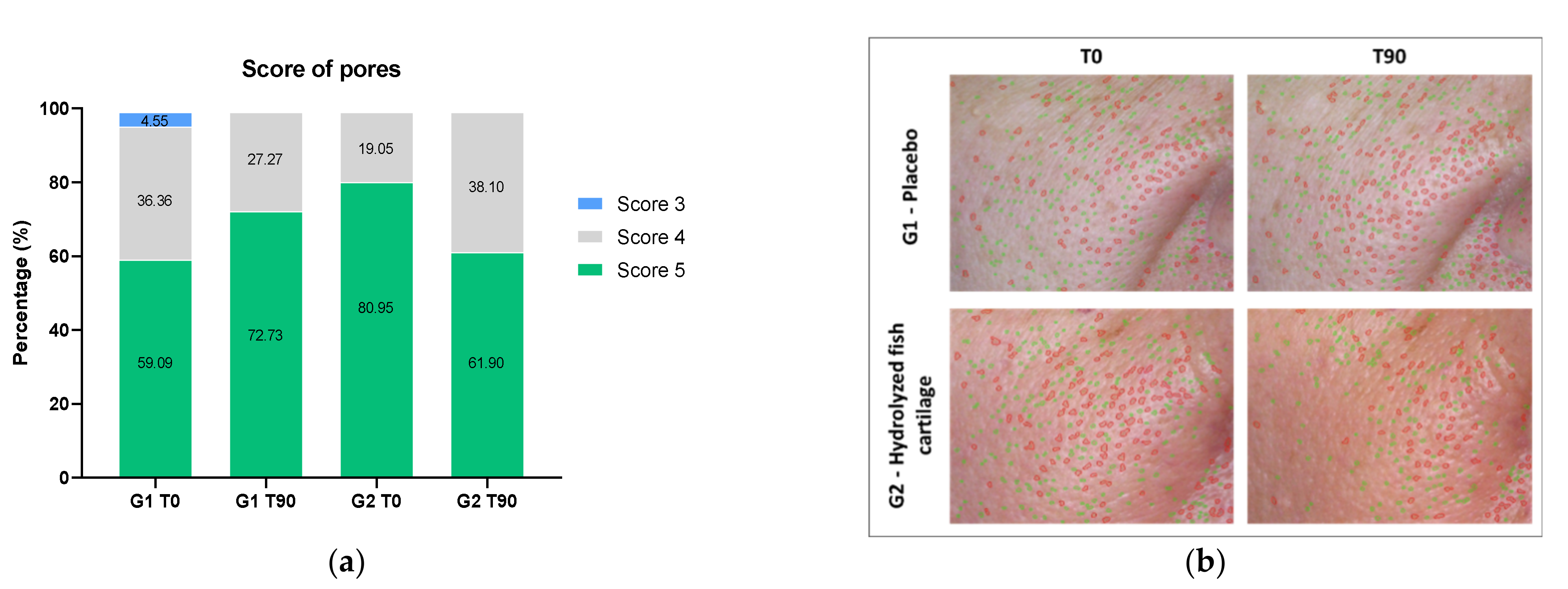 Molecules 26 04880 g005
