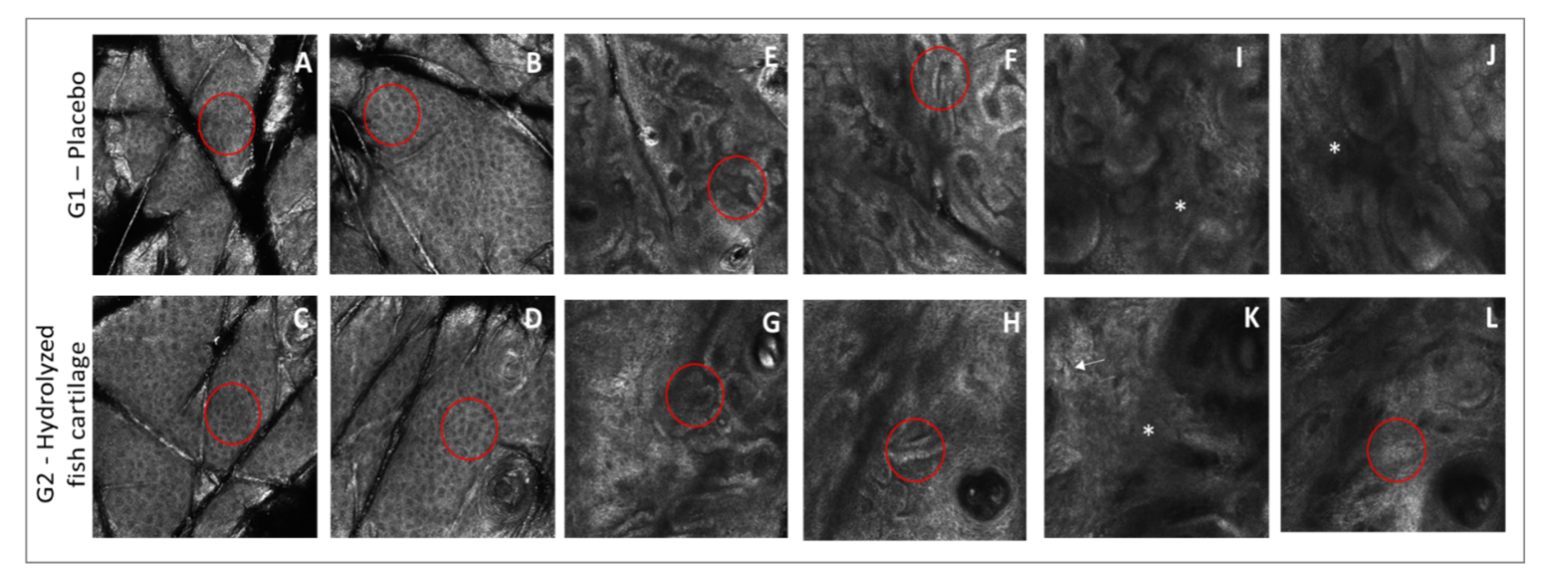 Molecules 26 04880 g007