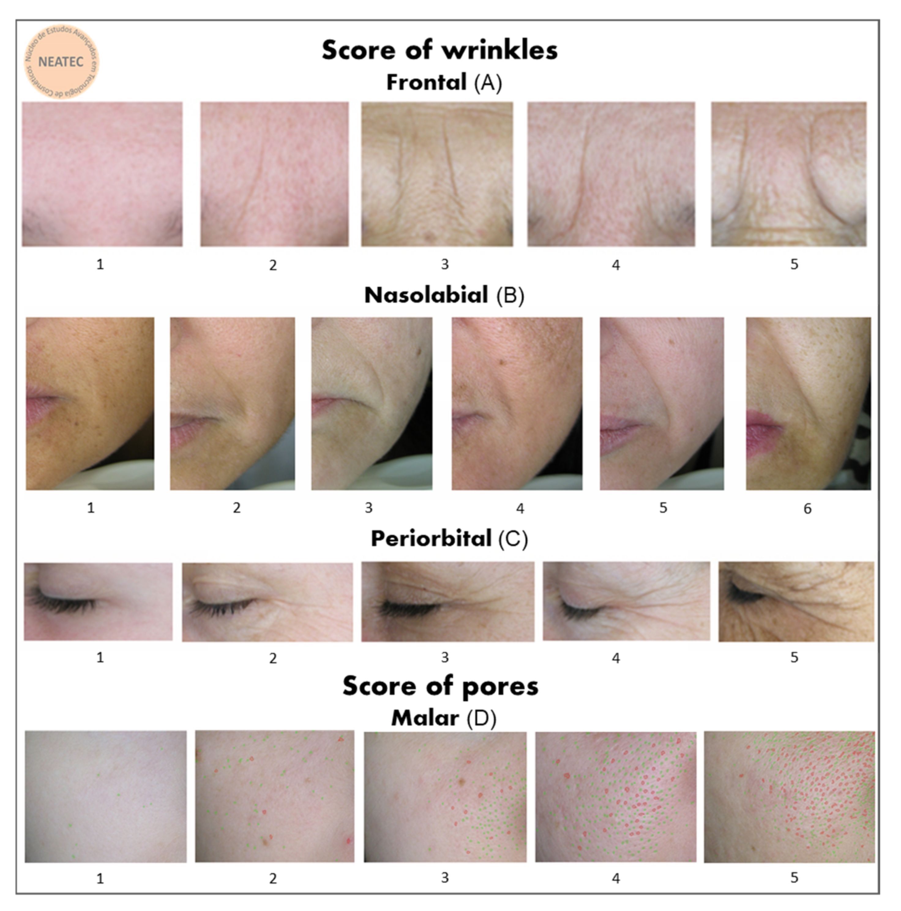 Molecules 26 04880 g011