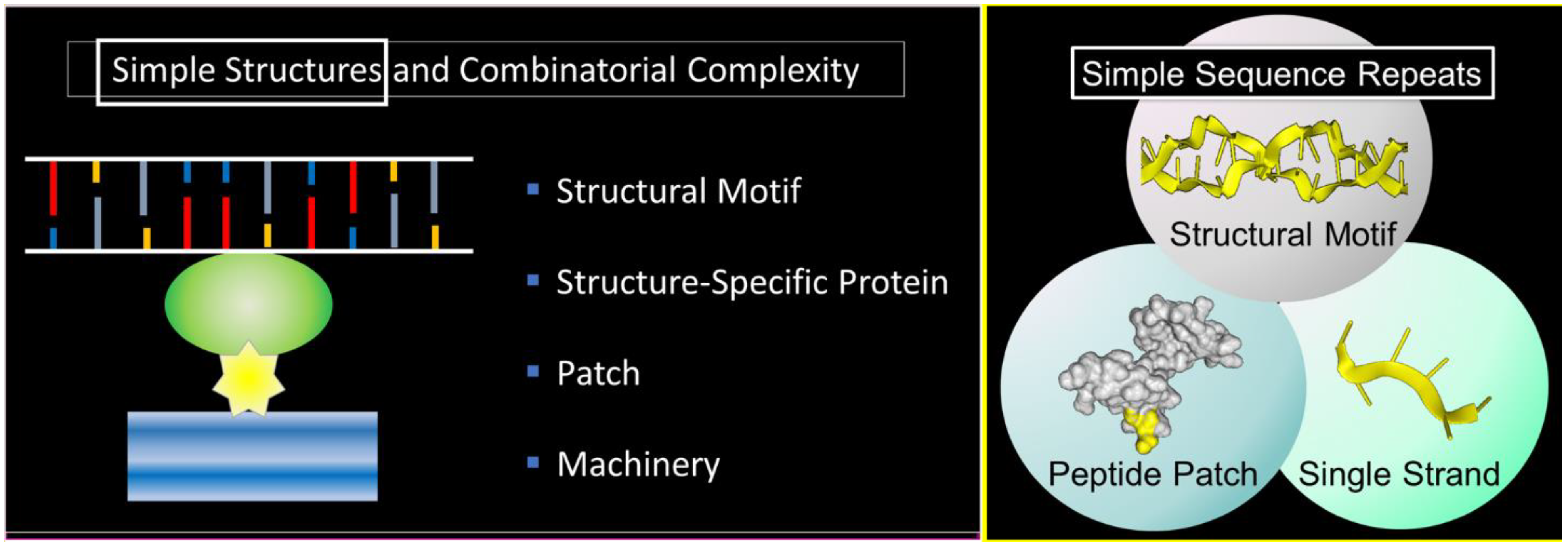 Keep It Simple 1.e4 - 2.0