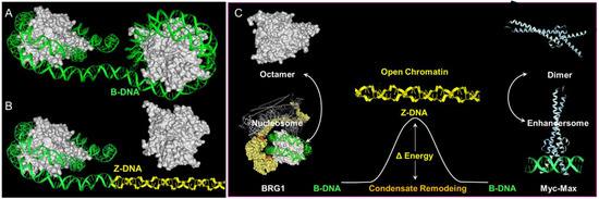 Molecules 26 04881 g003 550