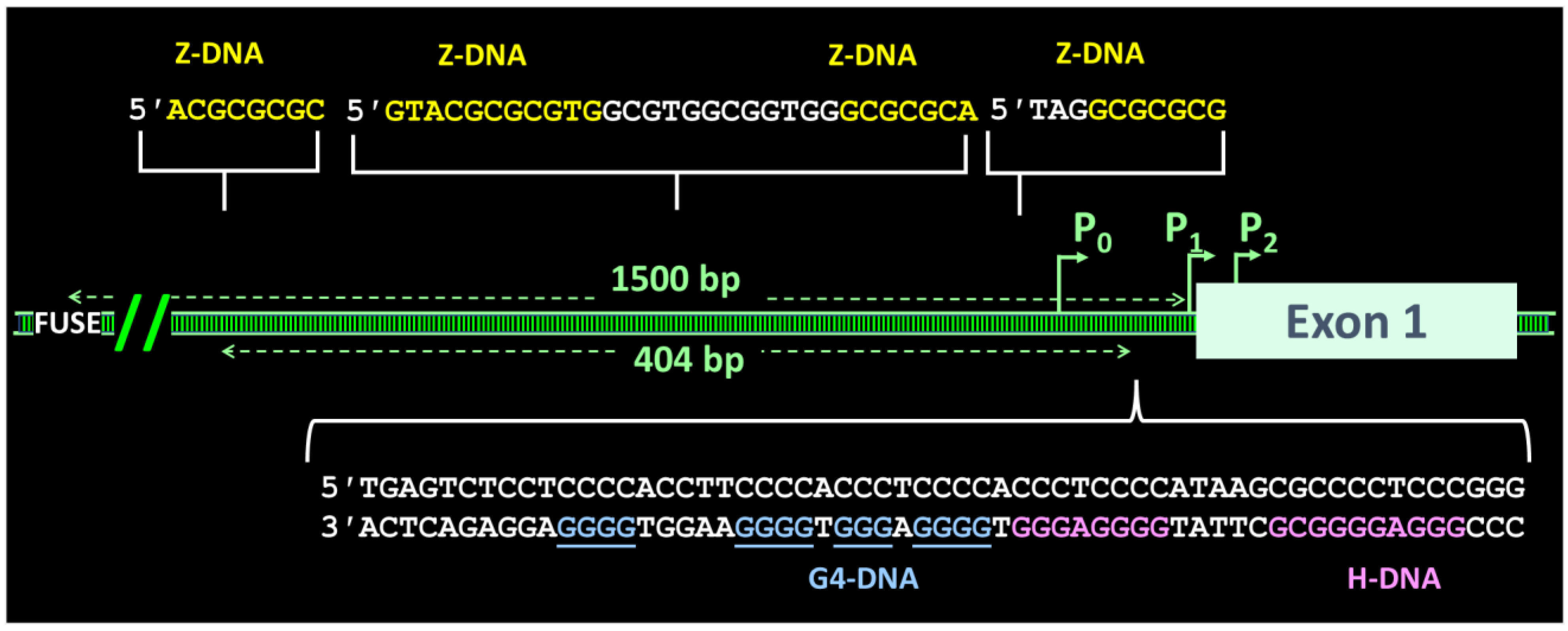 Molecules 26 04881 g004
