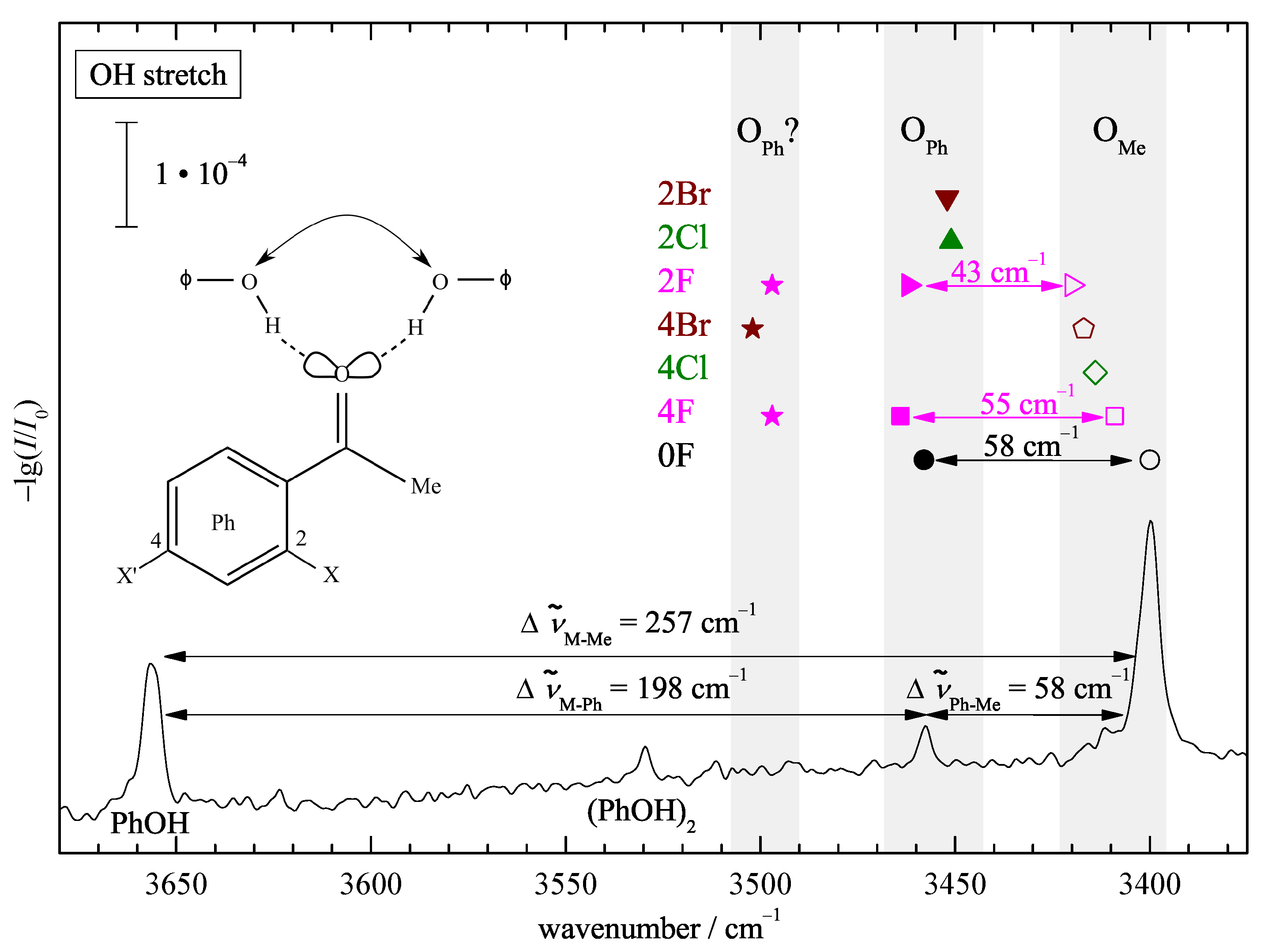 Molecules 26 04883 g002