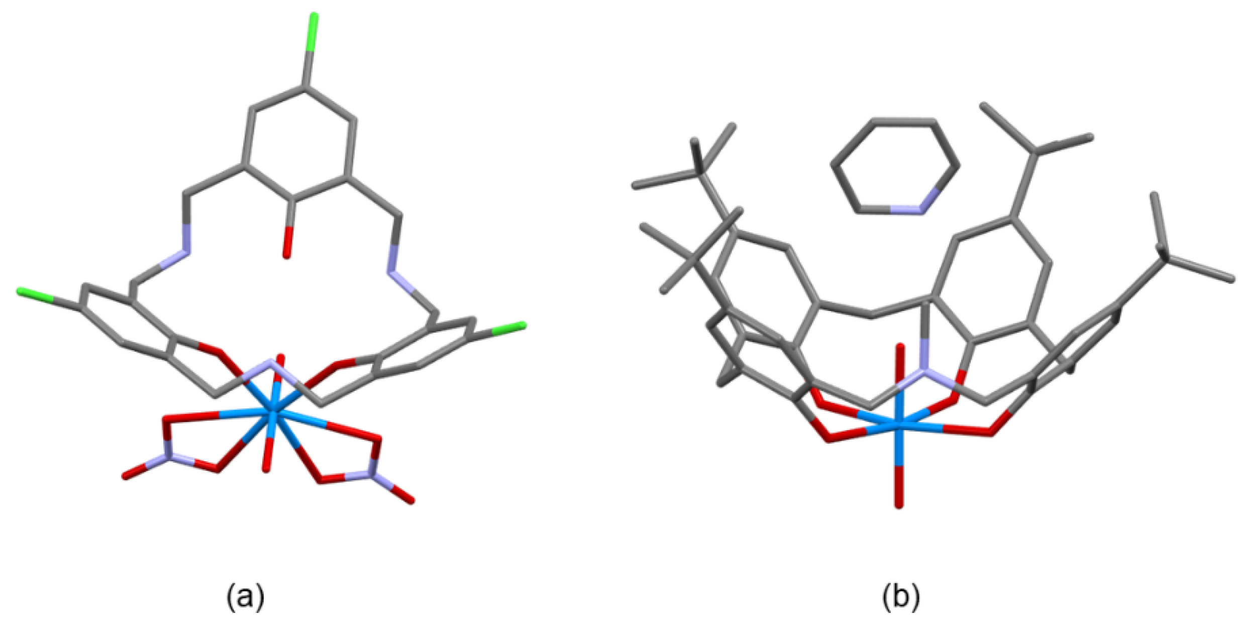 Molecules 26 04885 g008 Molecules 26 04885 g008
