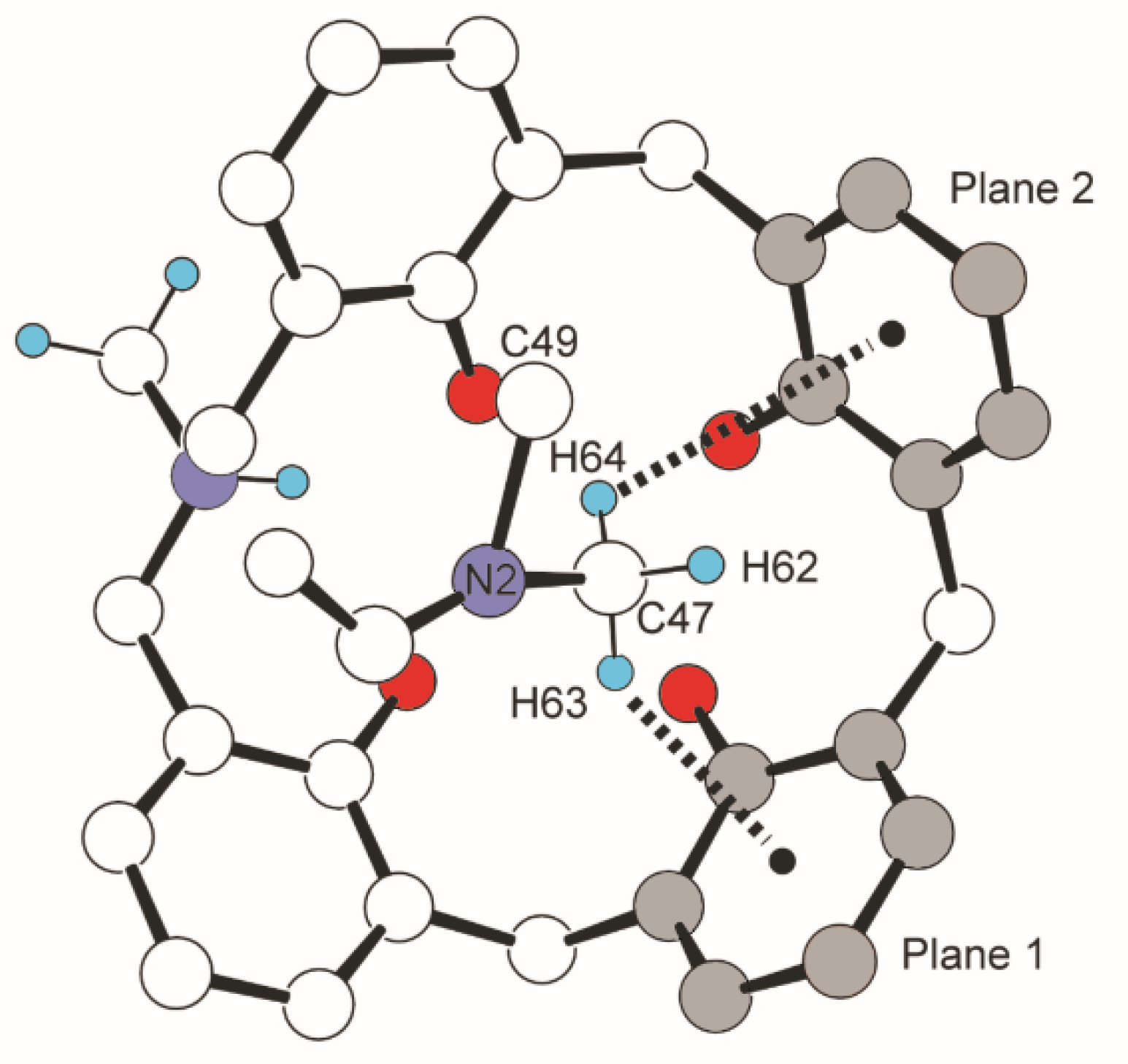 Molecules 26 04885 g013 Molecules 26 04885 g013