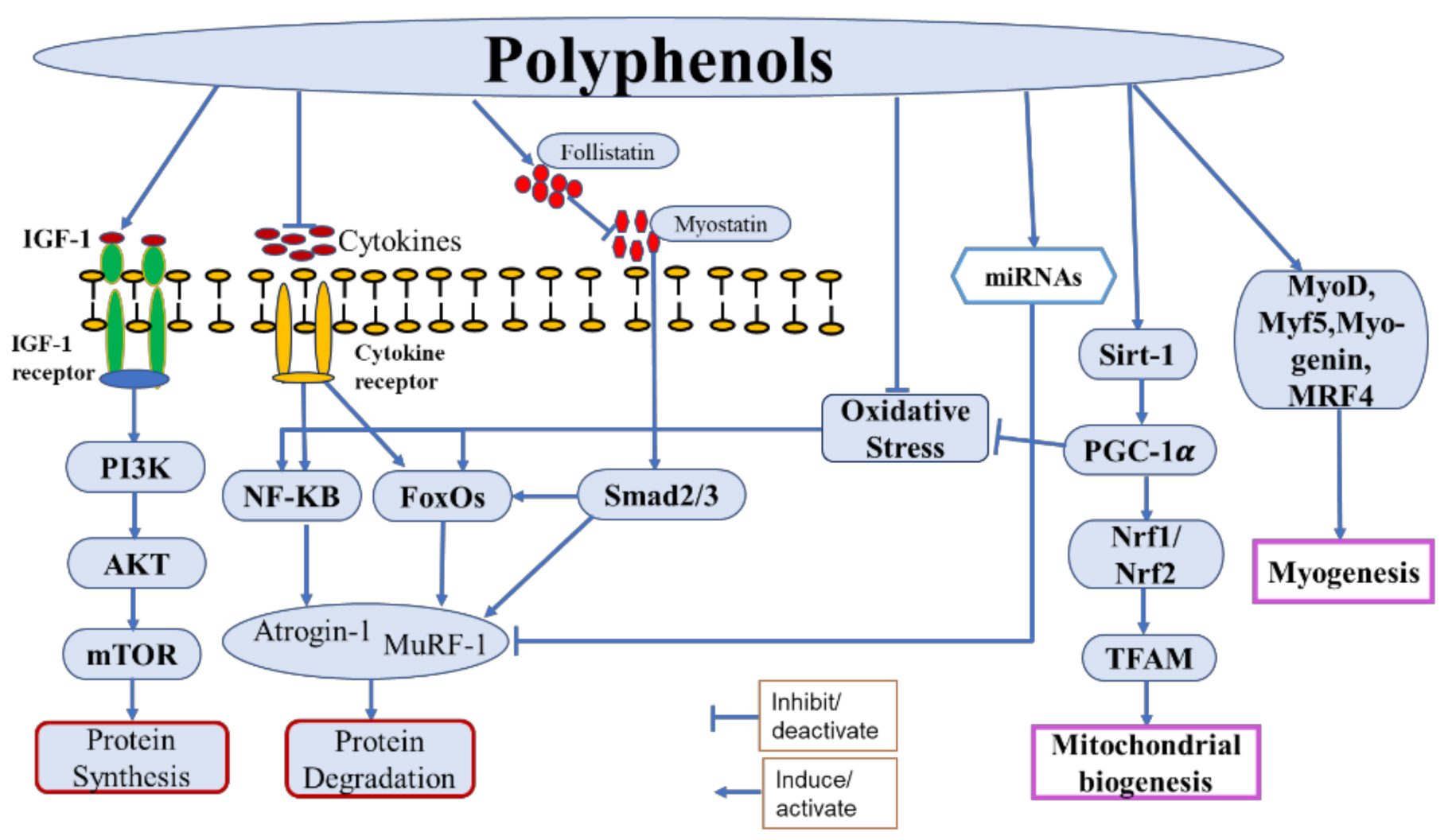Molecules 26 04887 g002