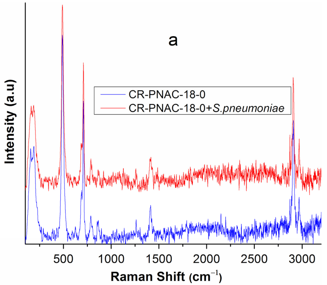 Molecules 26 04892 g007a