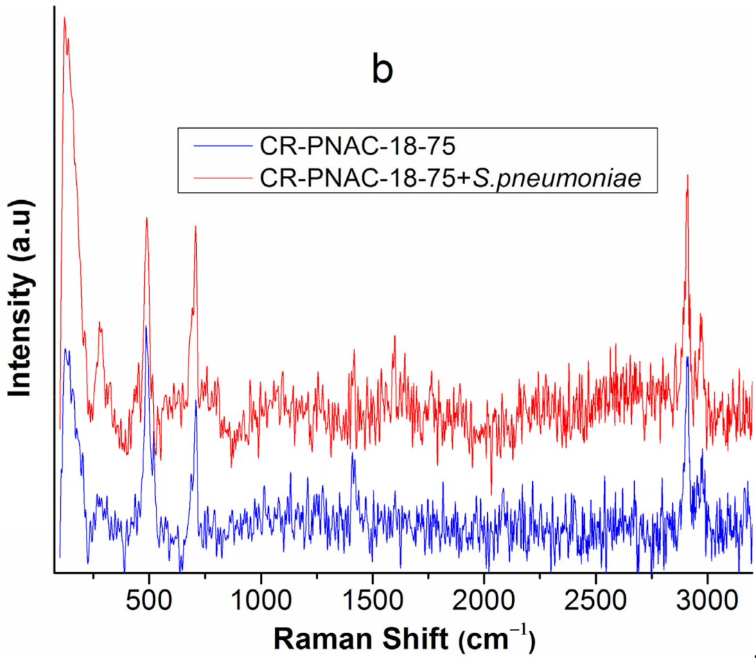 Molecules 26 04892 g007b