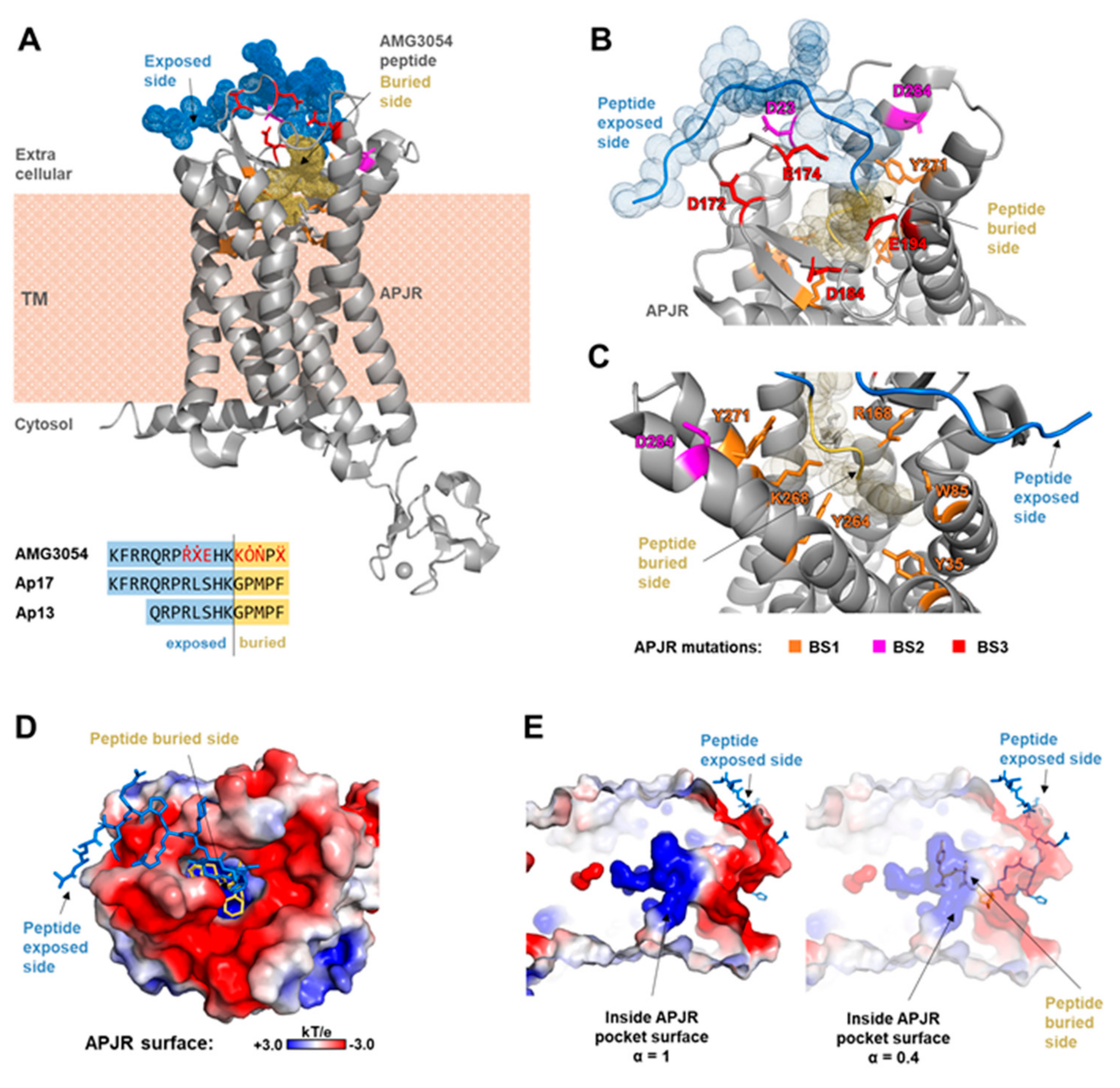 Molecules 26 04894 g002 550