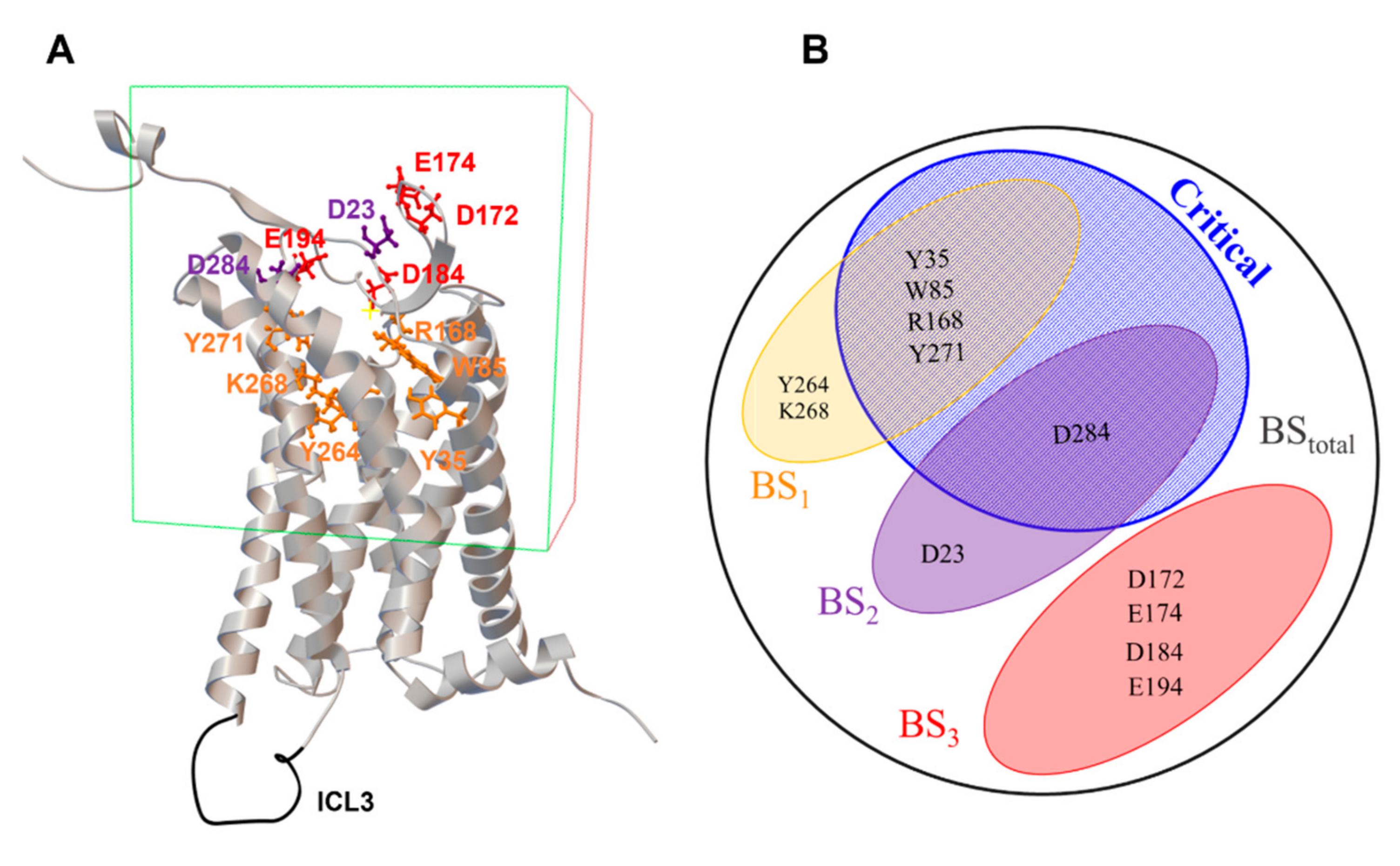 Molecules 26 04894 g003 550