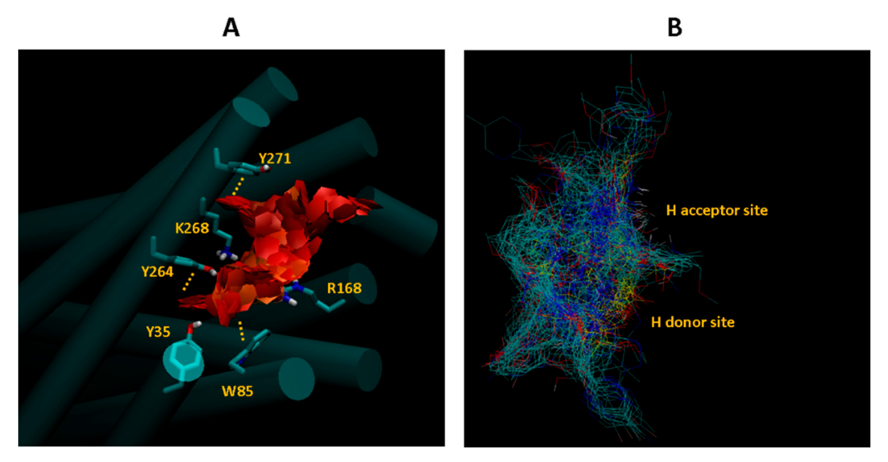 Molecules 26 04894 g004 550
