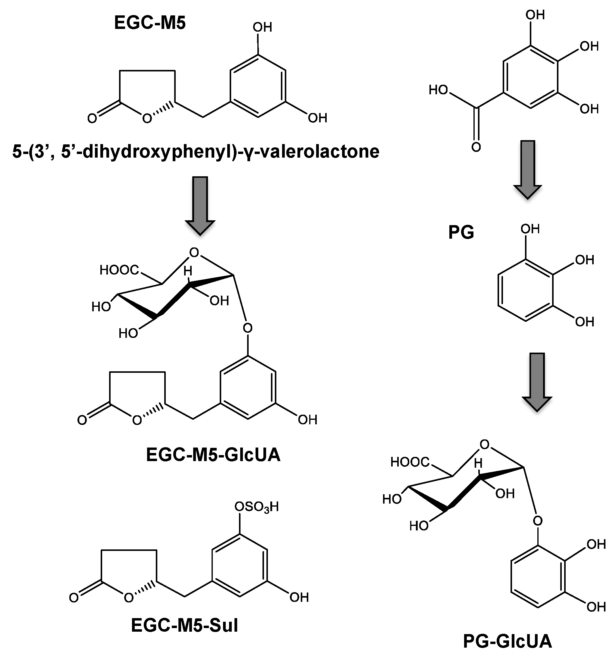 Molecules 26 04897 g002