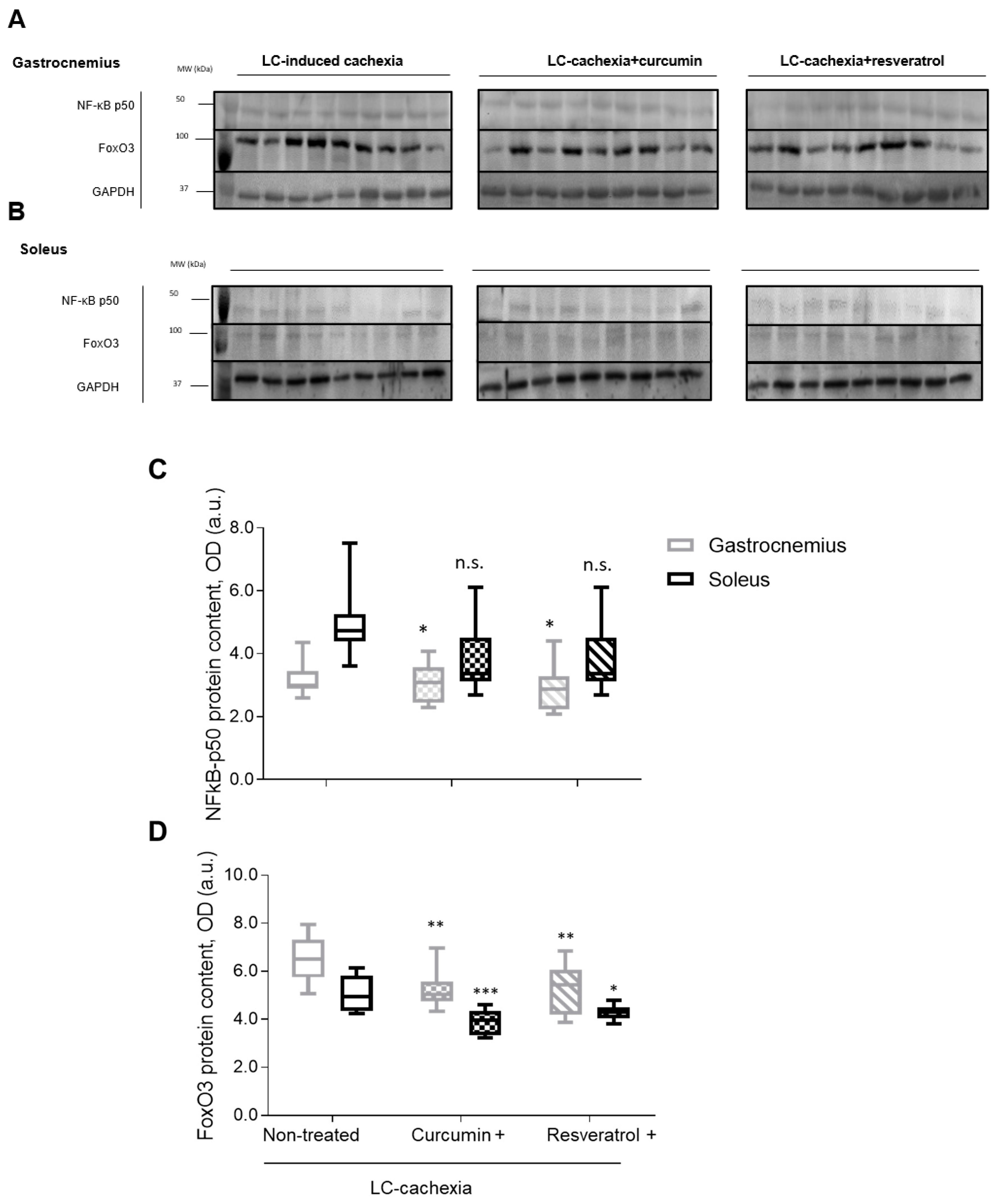 Molecules 26 04904 g008 550