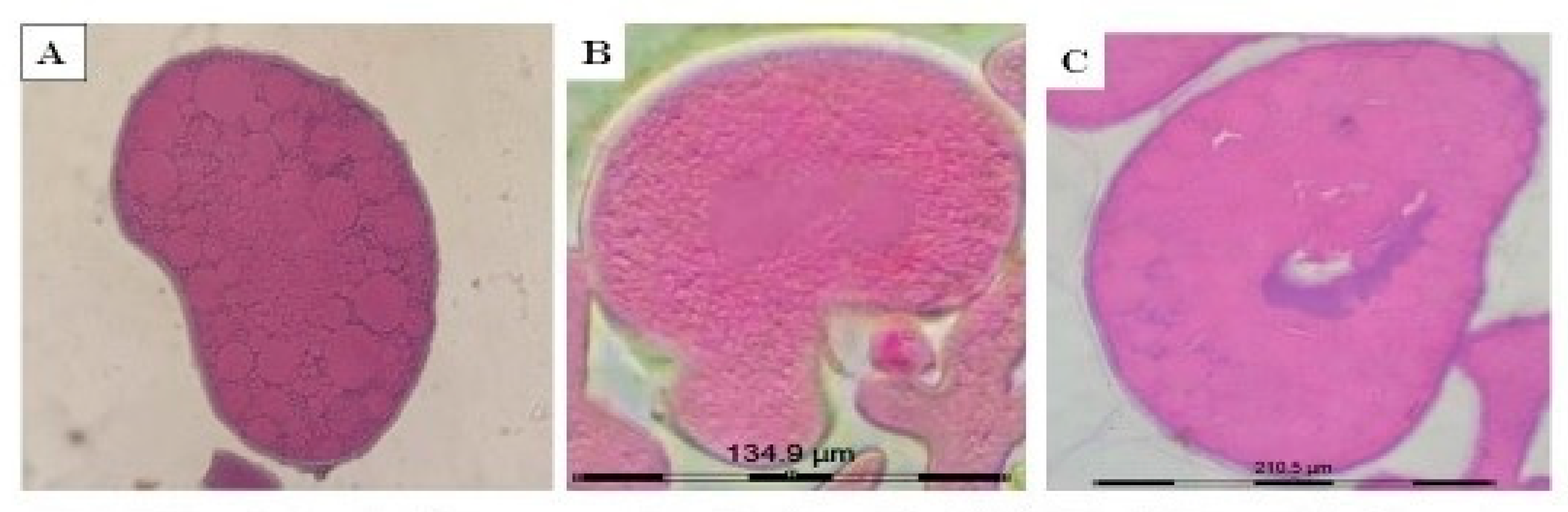 Molecules 26 04905 g002