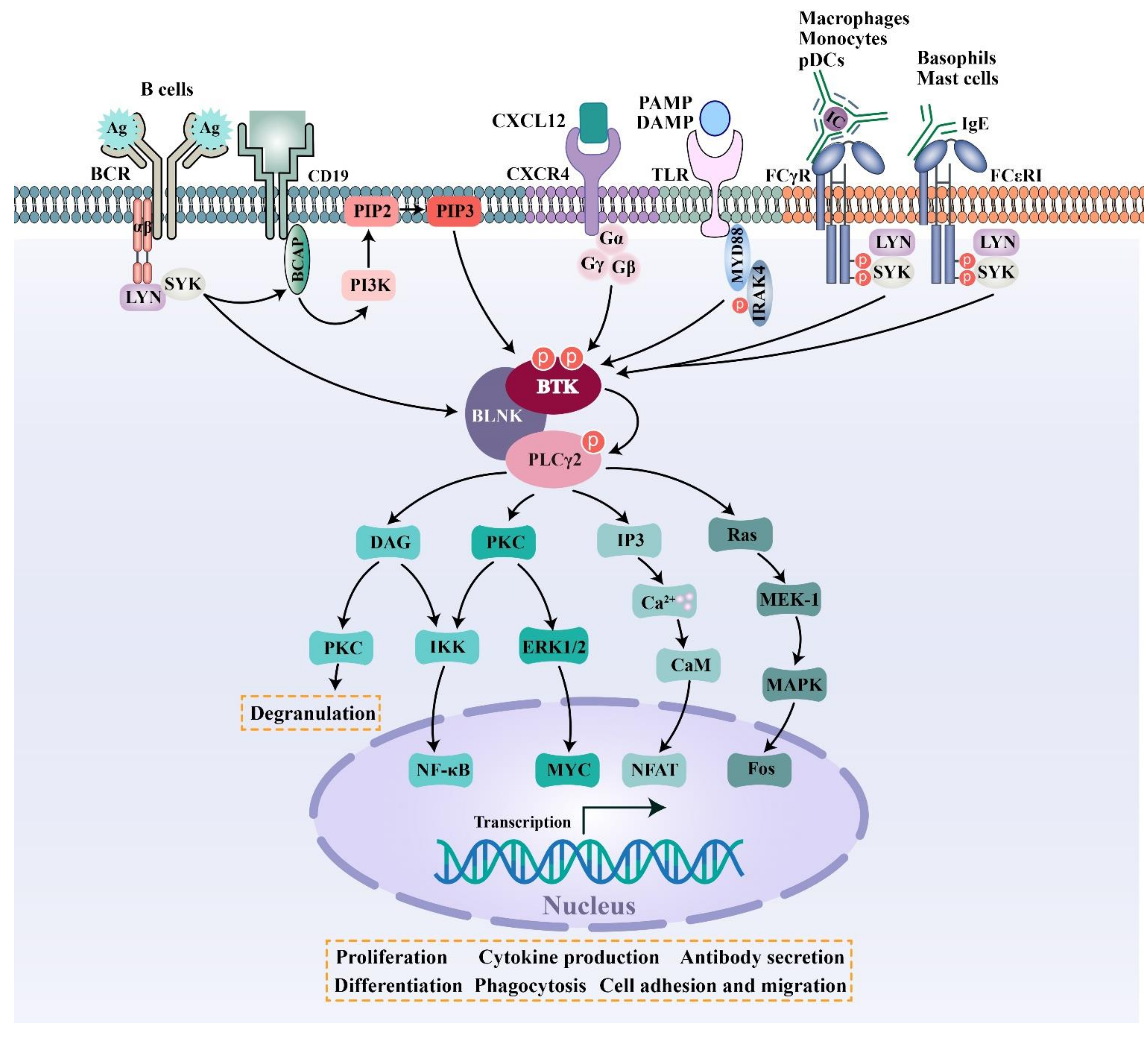 Molecules 26 04907 g002