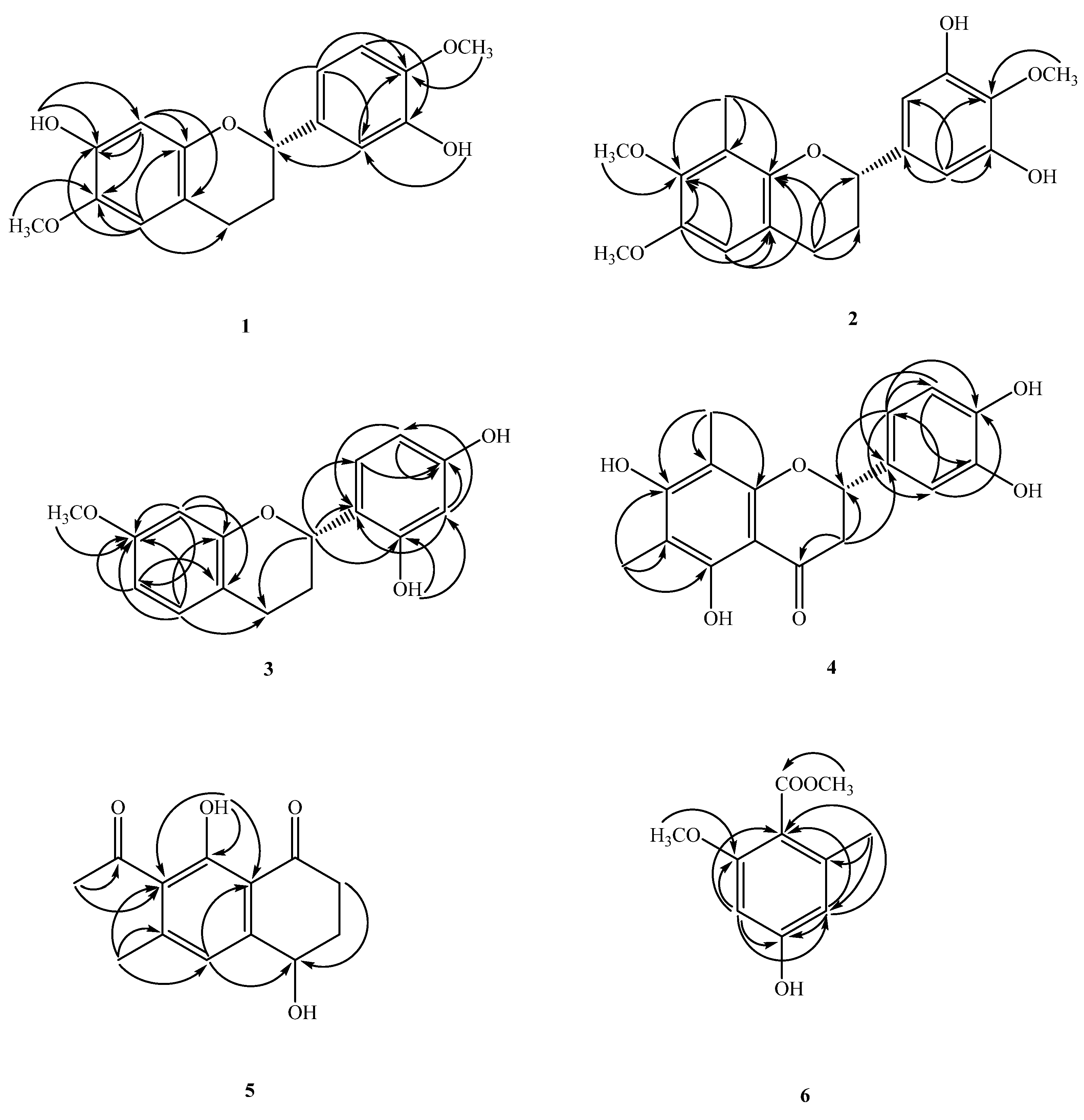 Molecules 26 04909 g002 Molecules 26 04909 g002