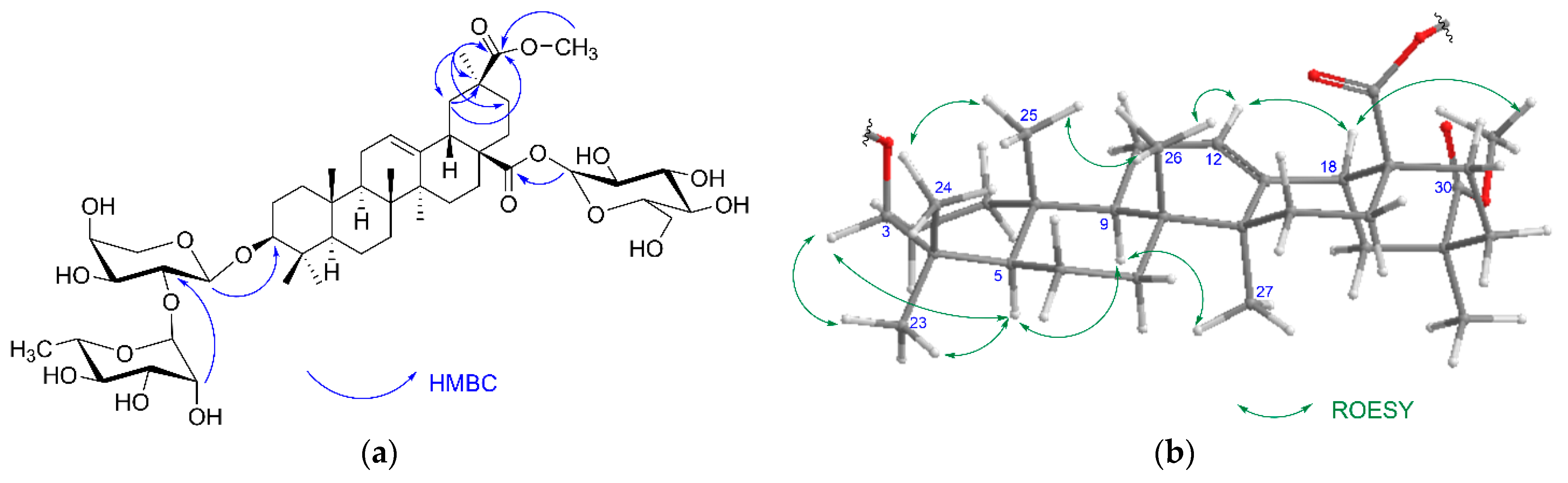 Molecules 26 04915 g002 550