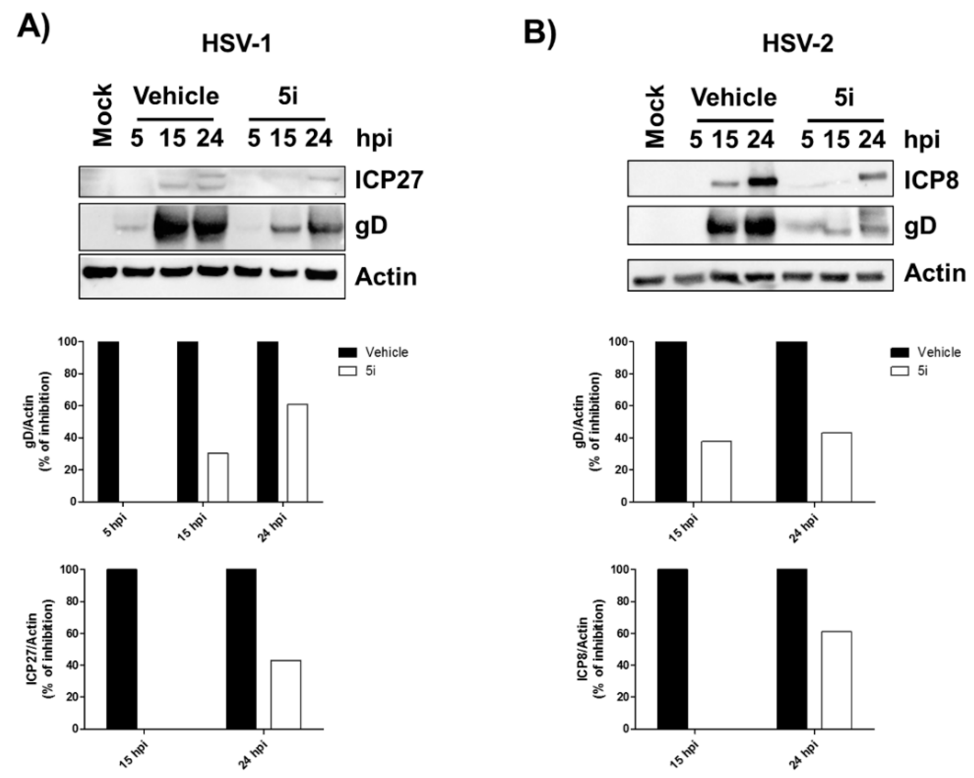 Molecules 26 04927 g005 550
