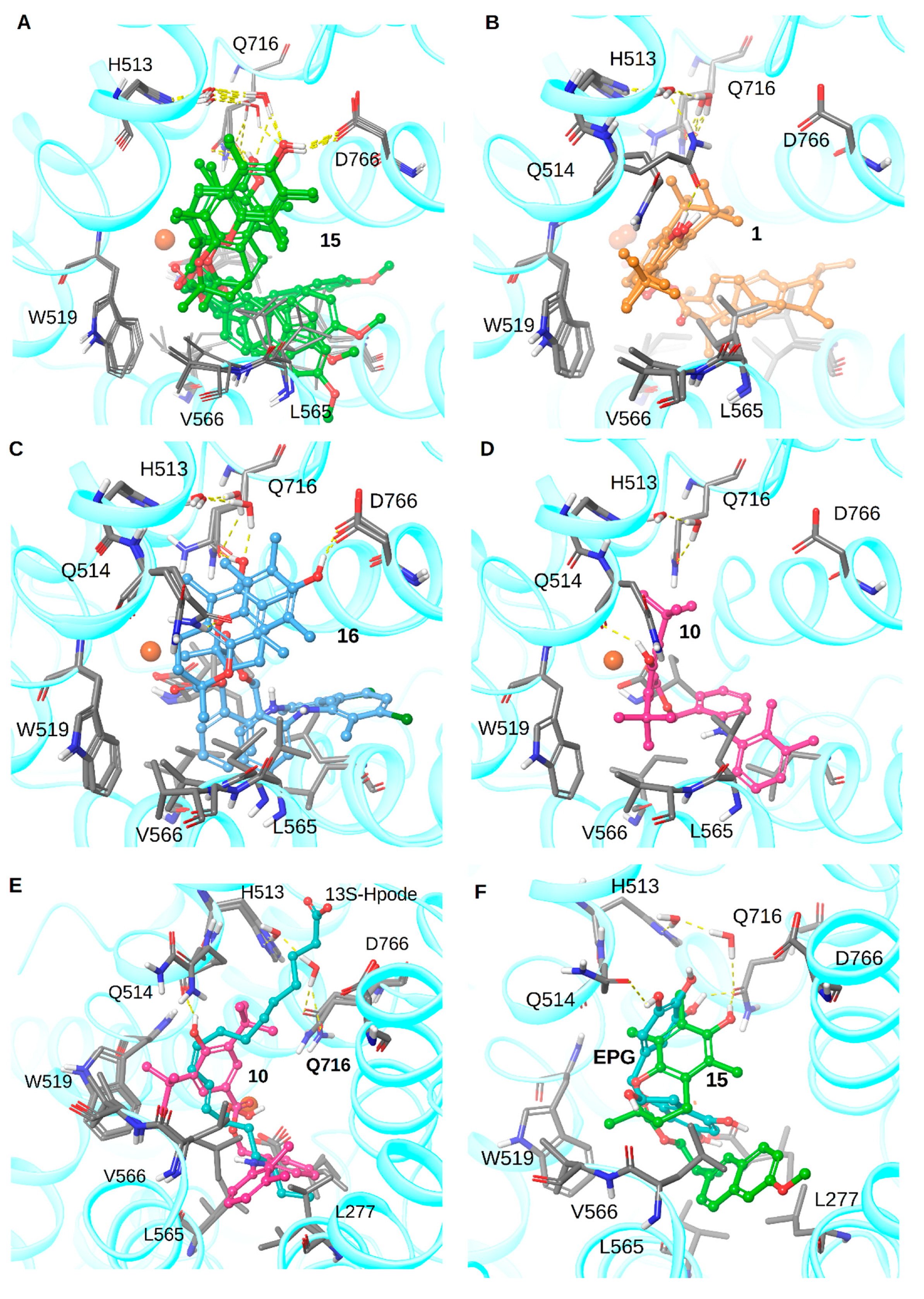 Molecules 26 04928 g005