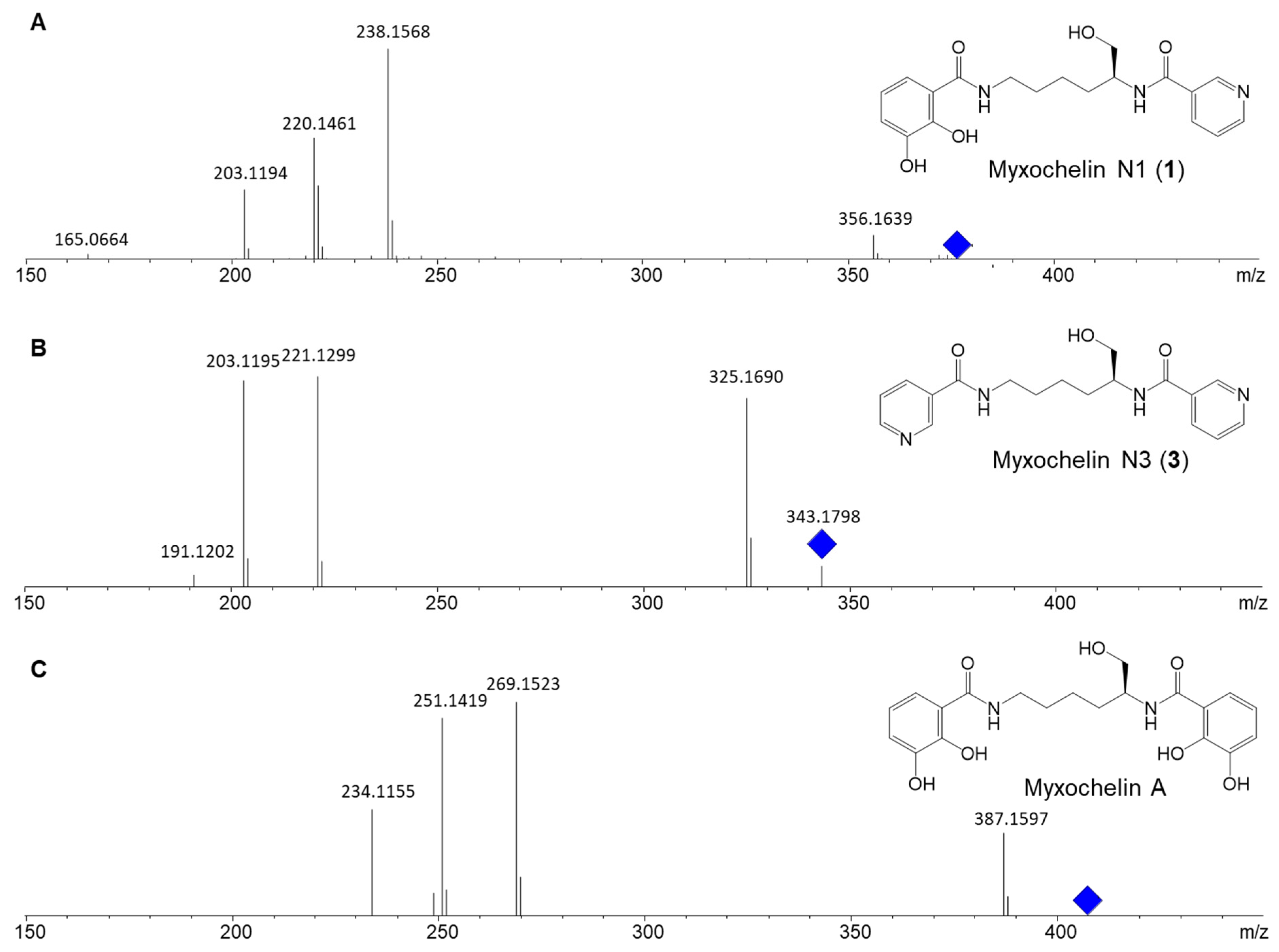 Molecules 26 04929 g001
