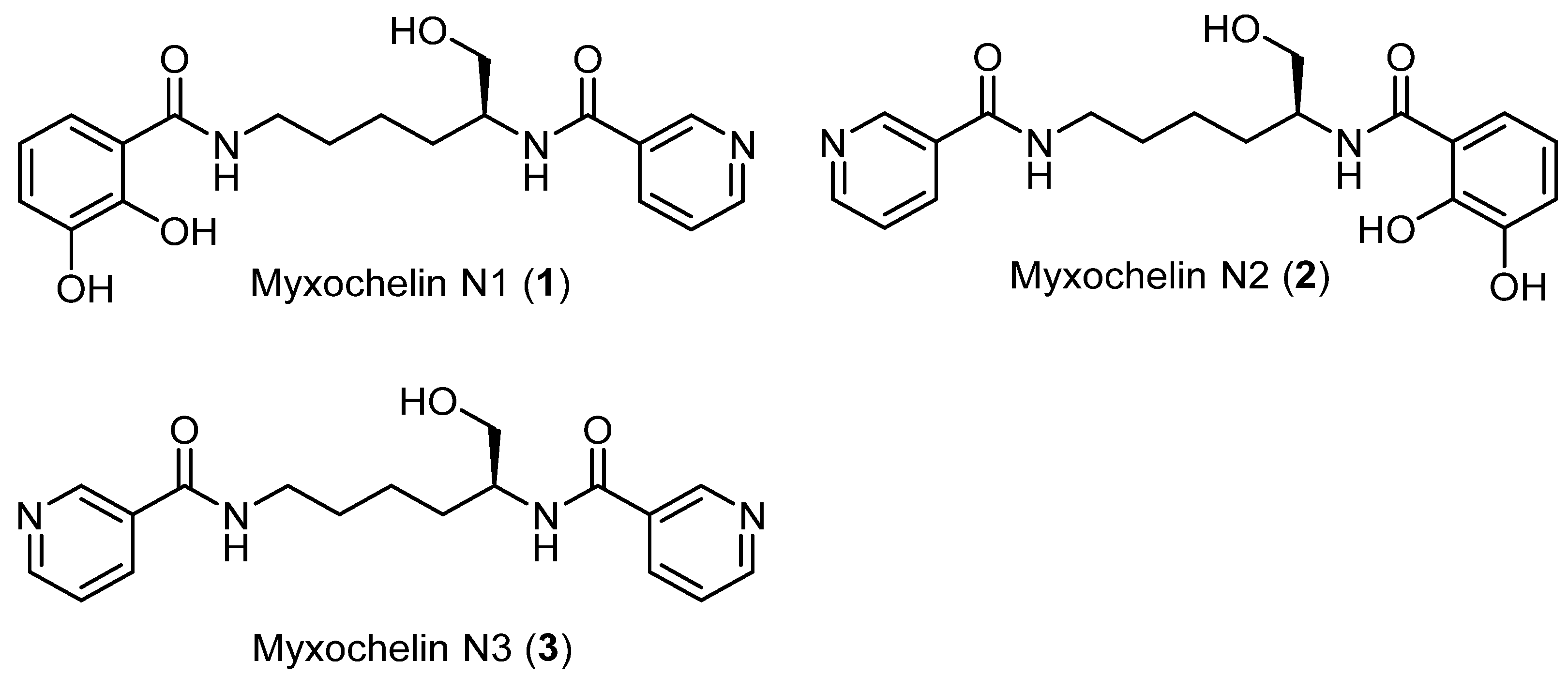Molecules 26 04929 g003