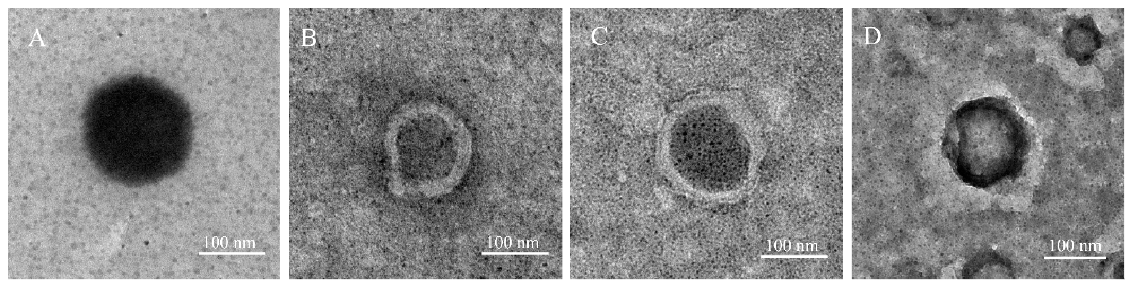 Molecules 26 04936 g005 Molecules 26 04936 g005