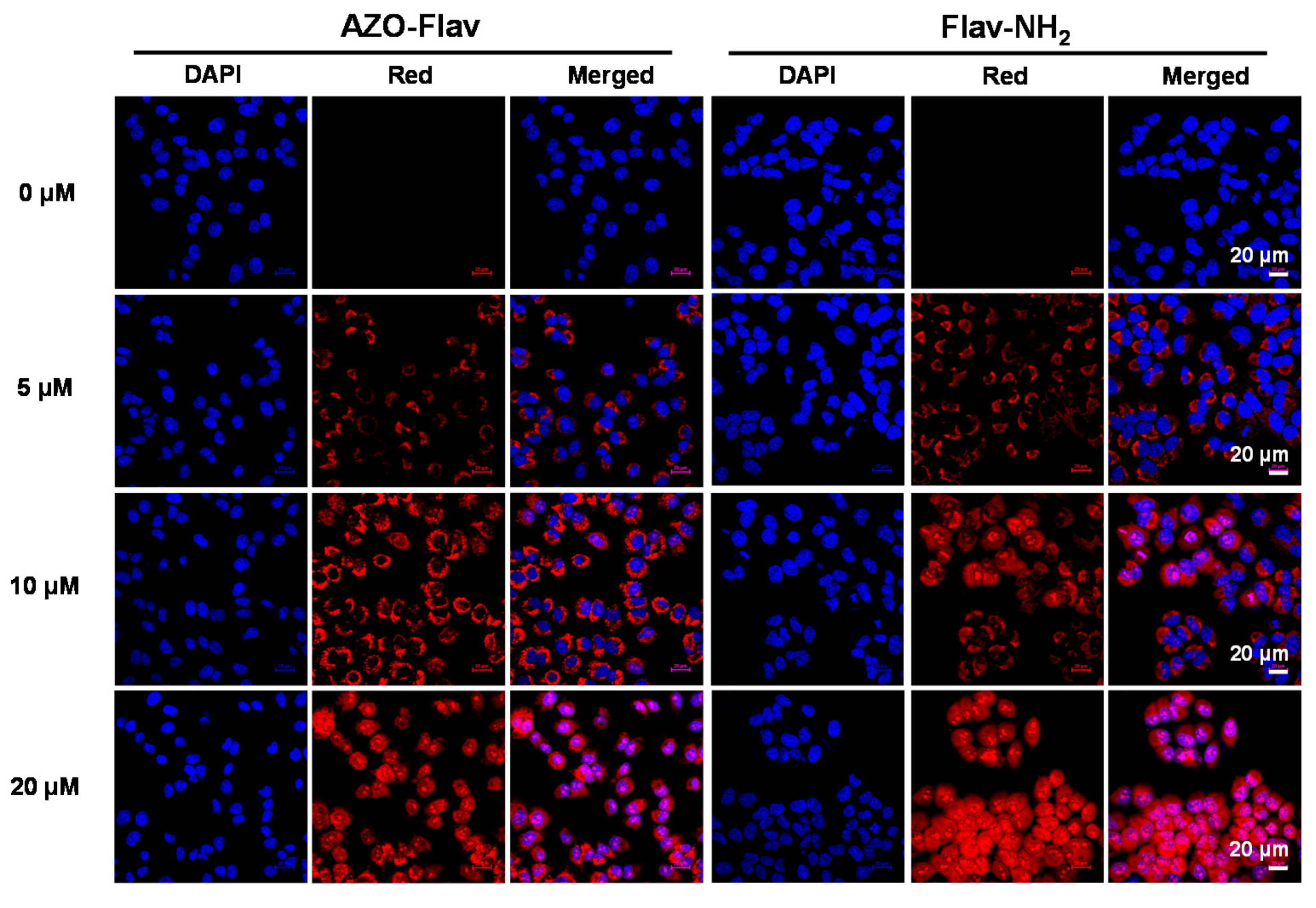 Molecules 26 04938 g007 Molecules 26 04938 g007
