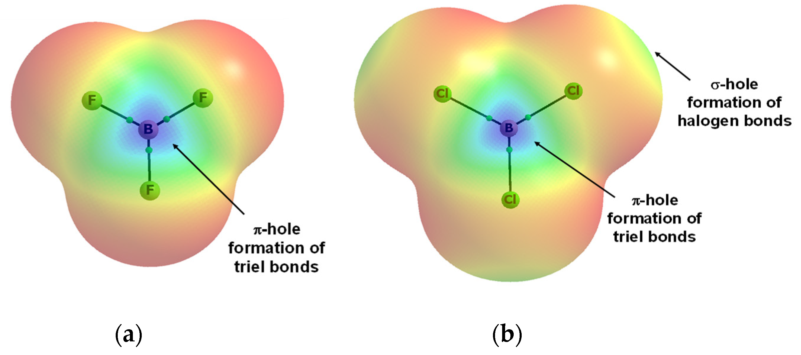Molecules 26 04939 g002
