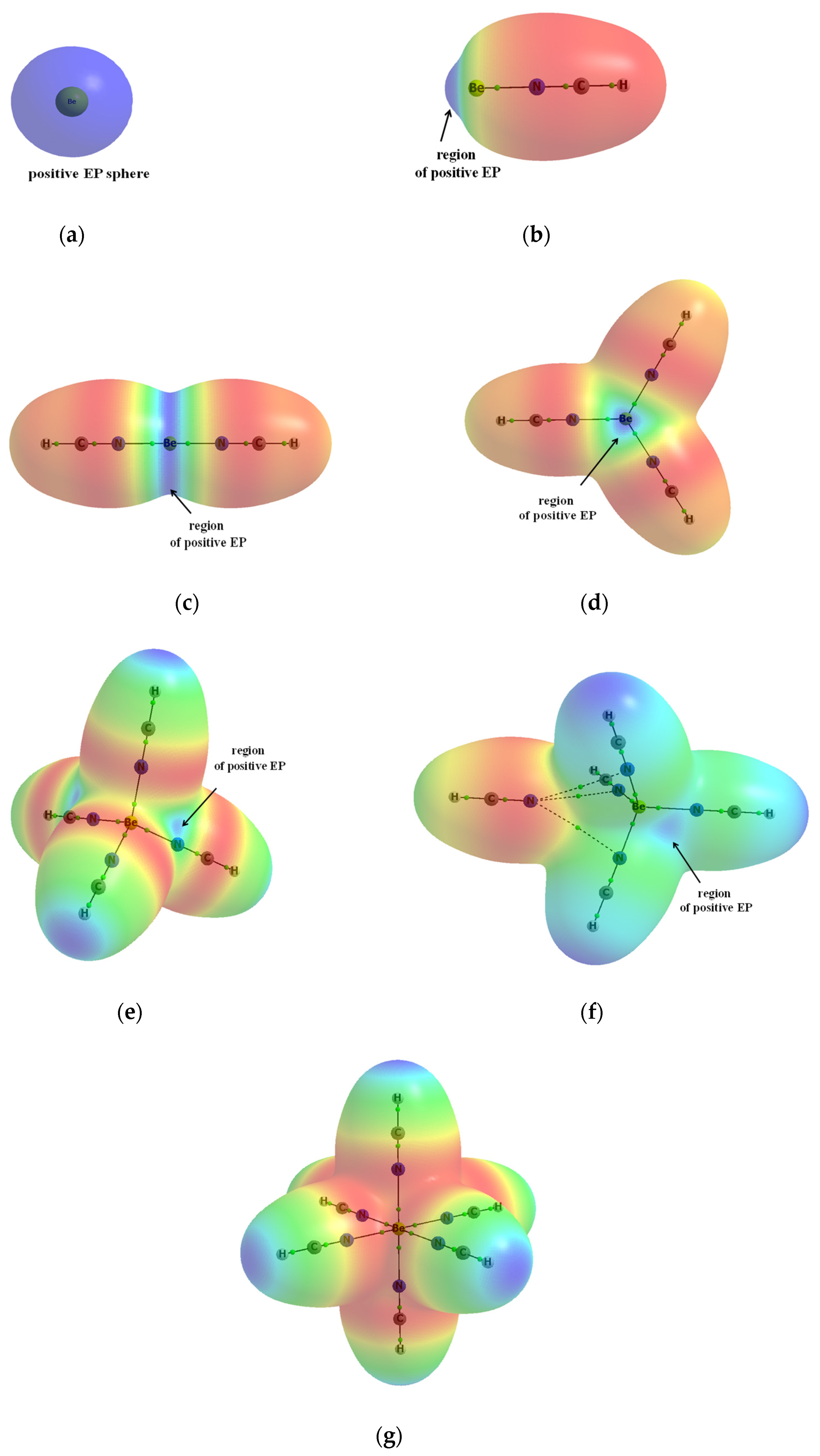 Molecules 26 04939 g007