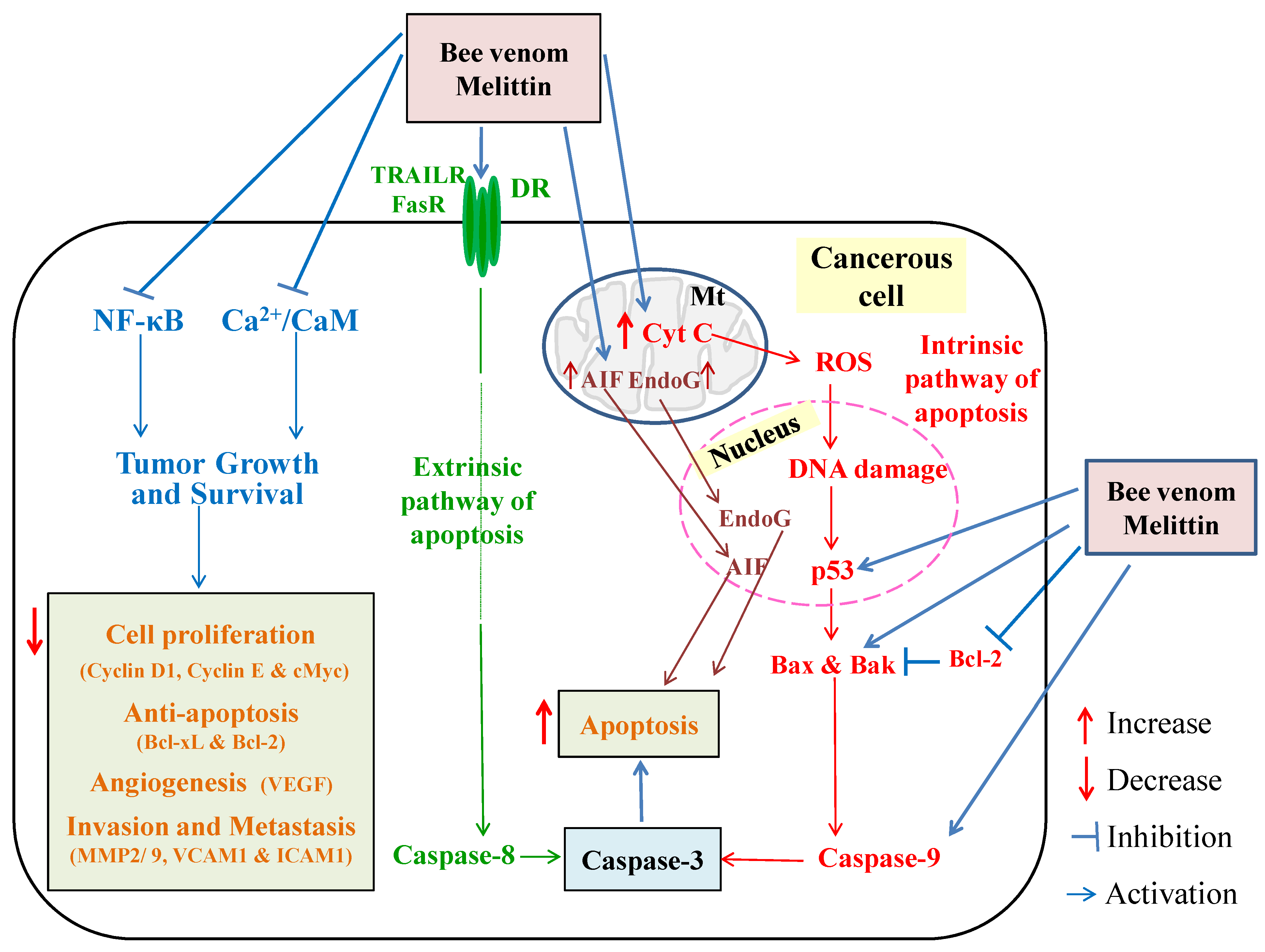 Molecules 26 04941 g003