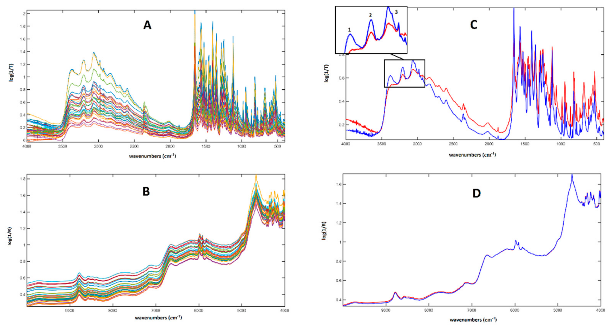 Molecules 26 04944 g002